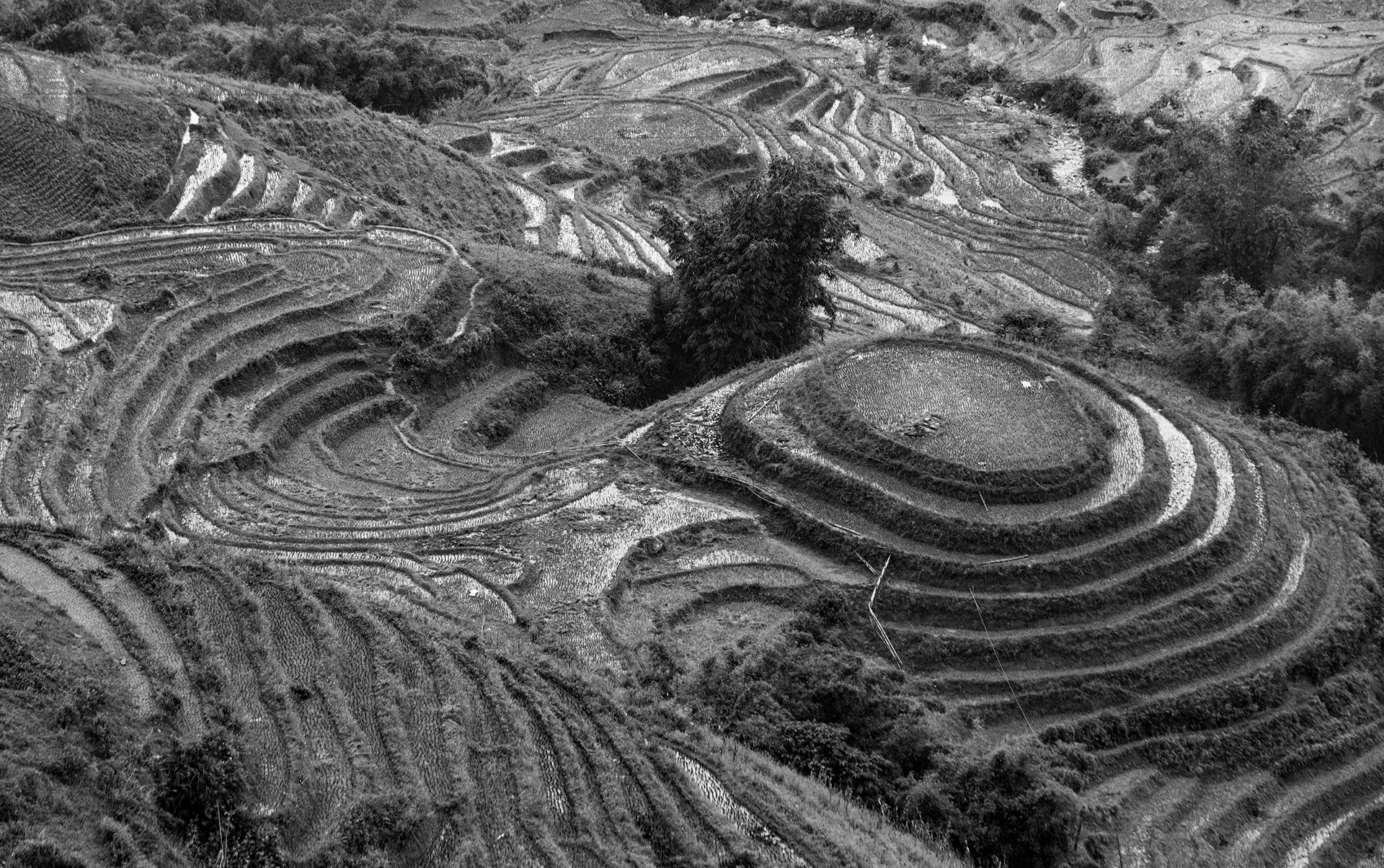 Sa Pa - terraces