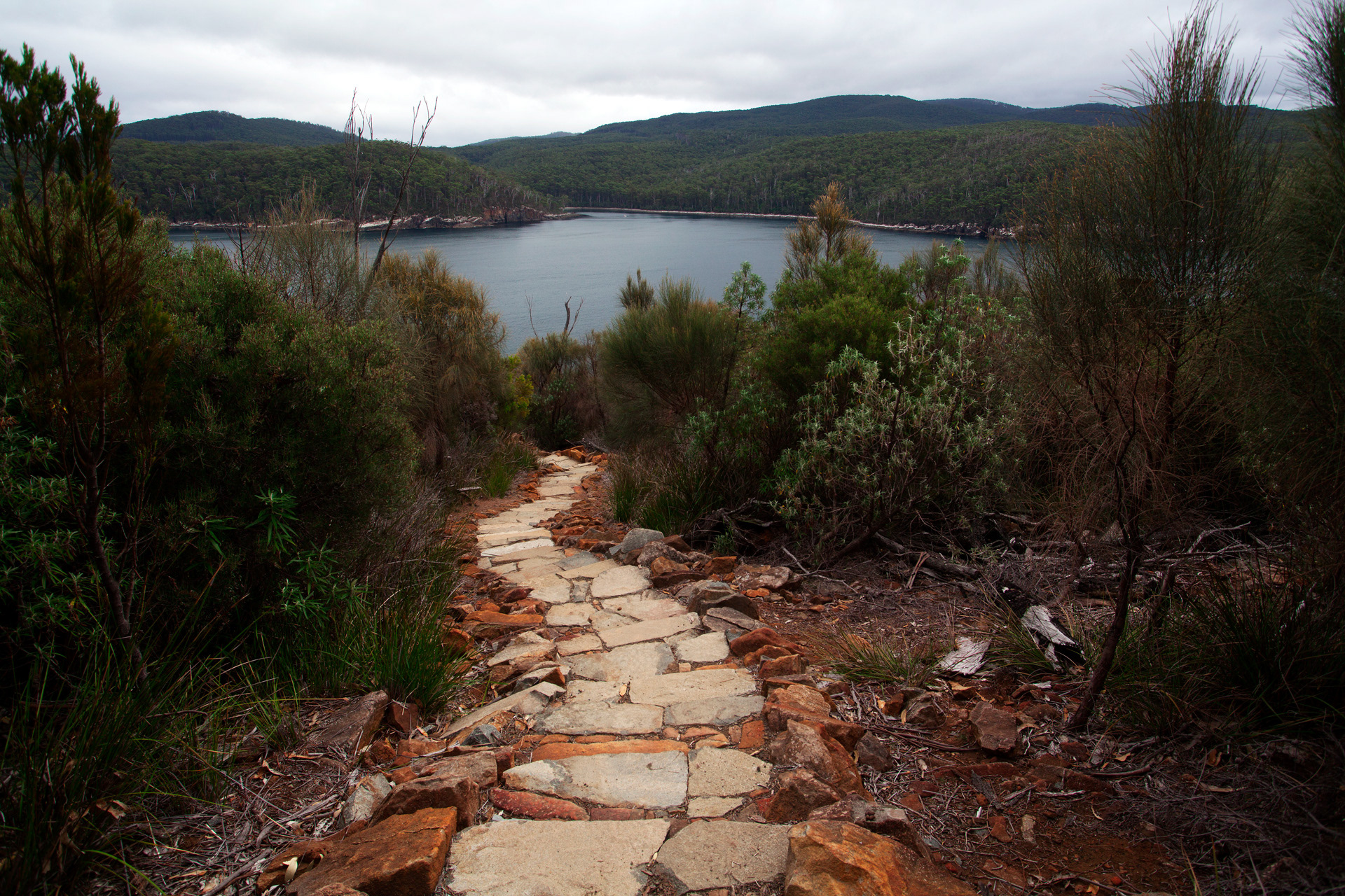 Pathways