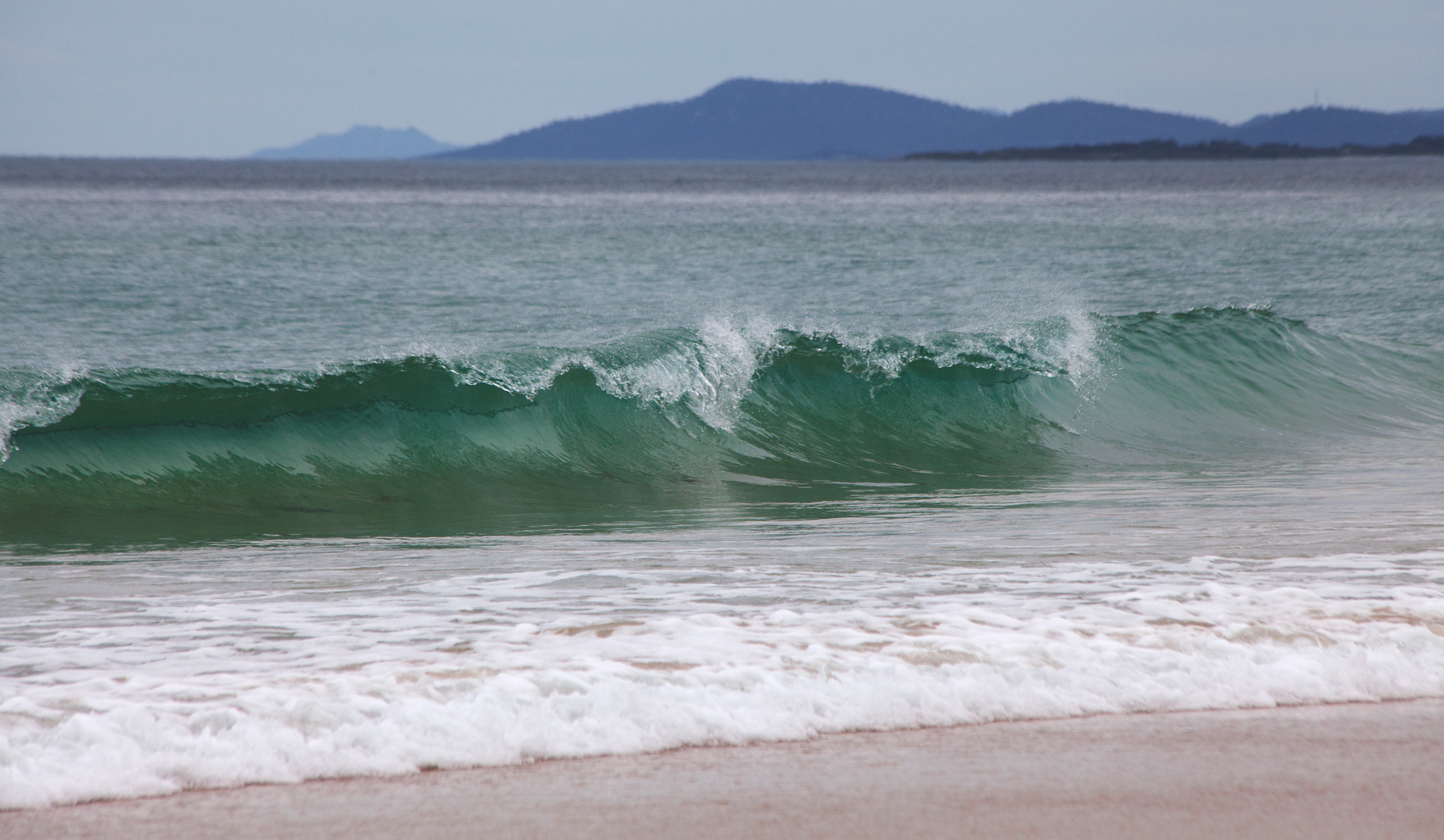 Tasmania wabes