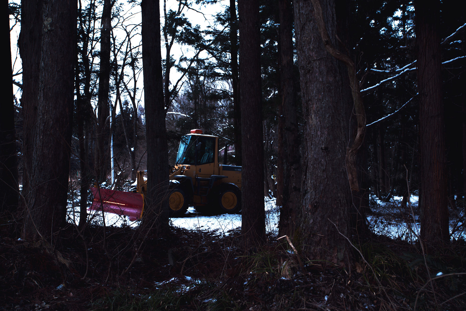 Winter digger