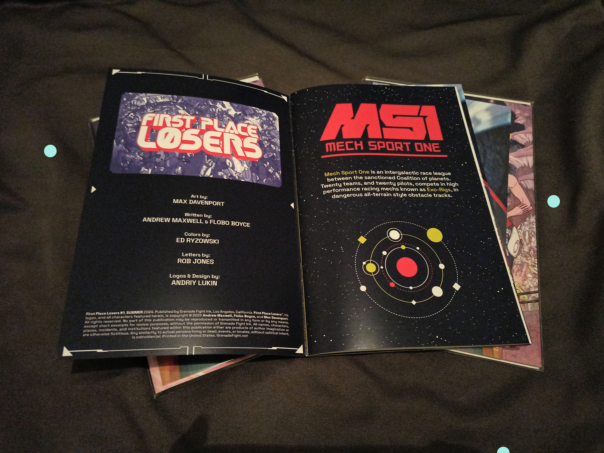 FIRST PLACE LOSERS book design | Andrew Maxwell