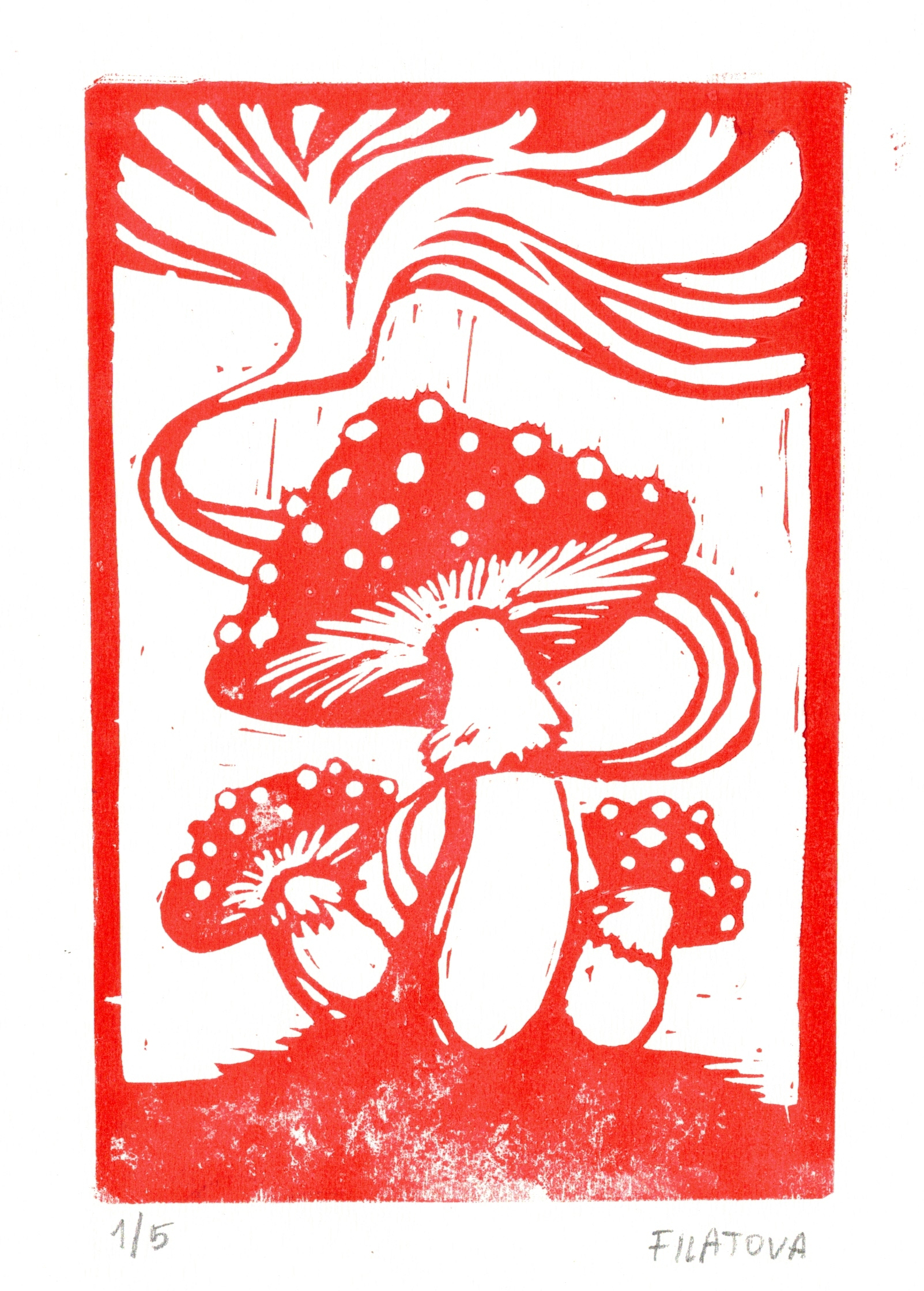 Shrooms