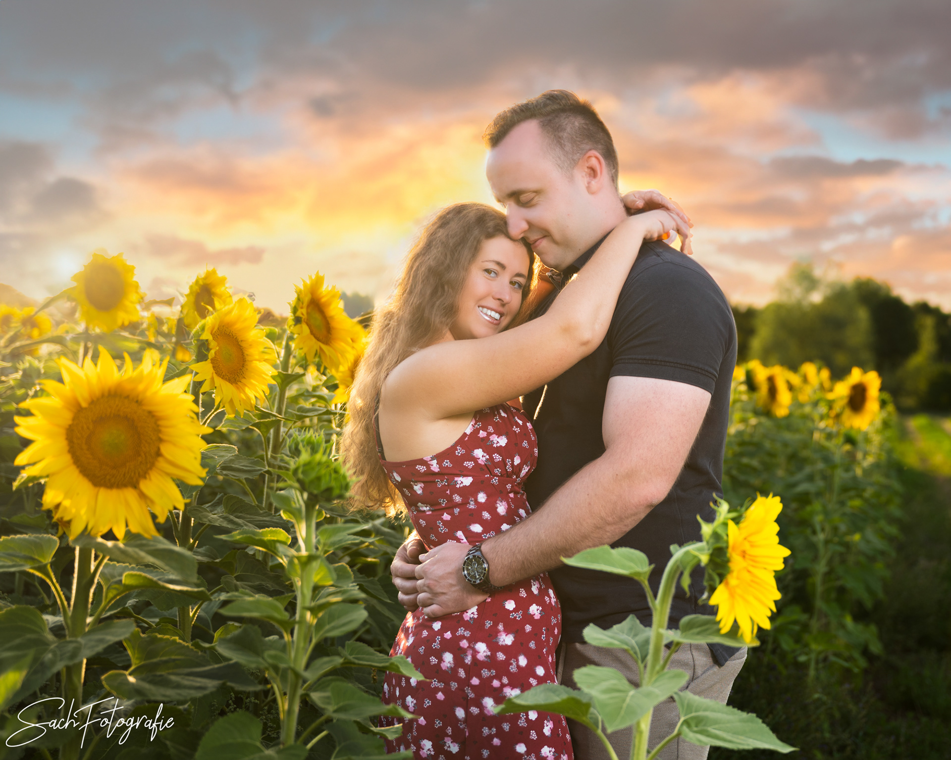 Romantische Momente im Sonnenblumenfeld