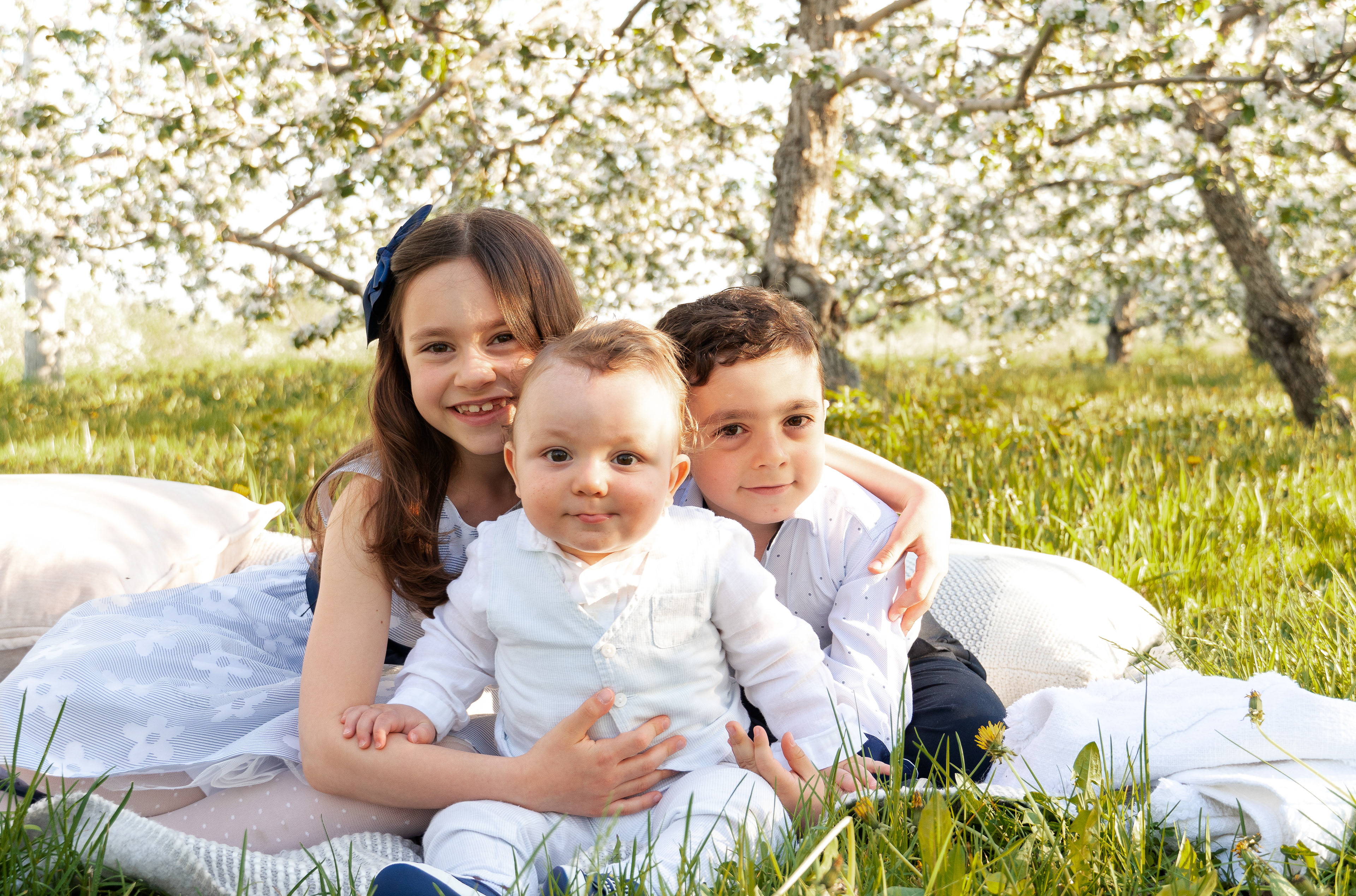 Spring family