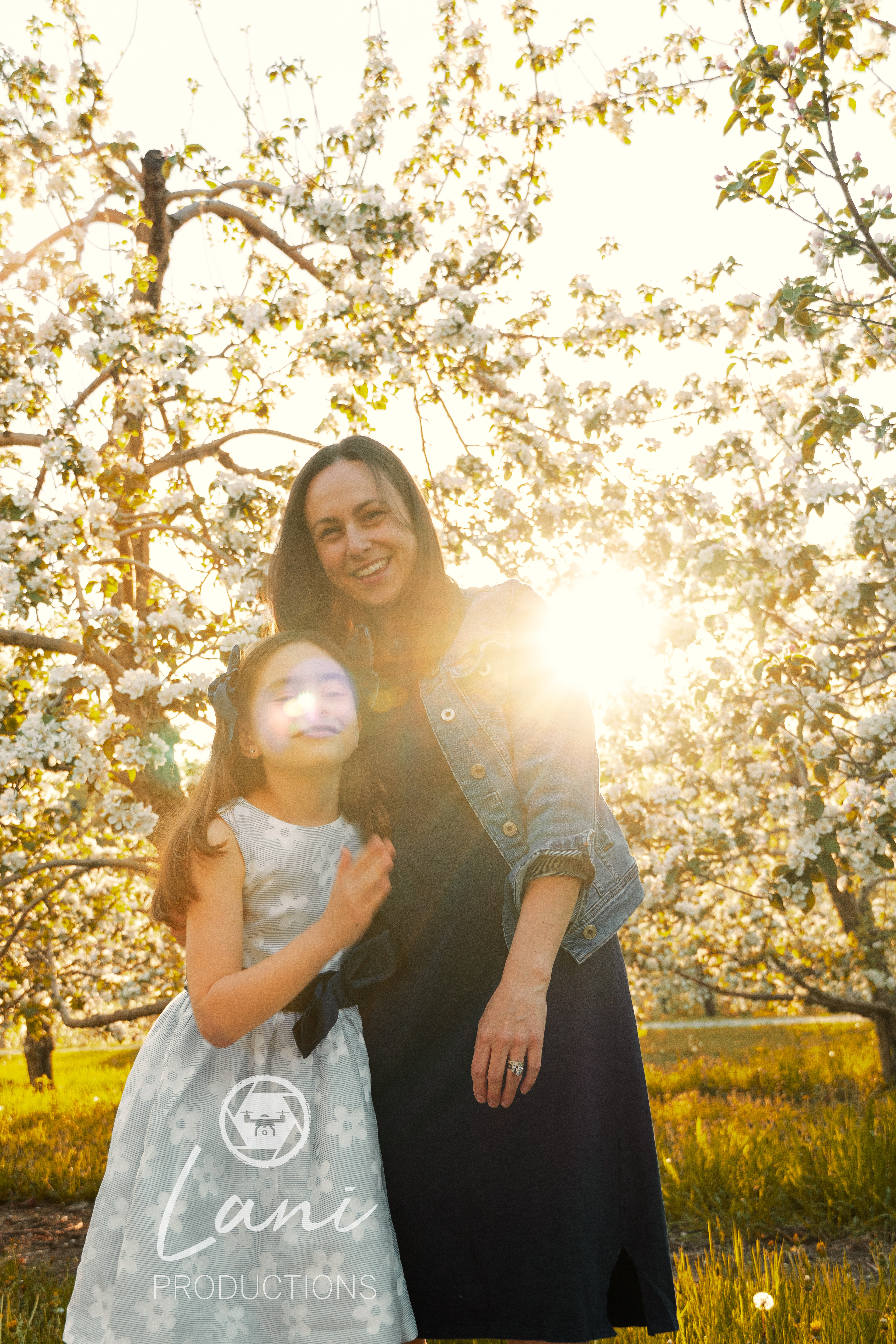 Spring family
