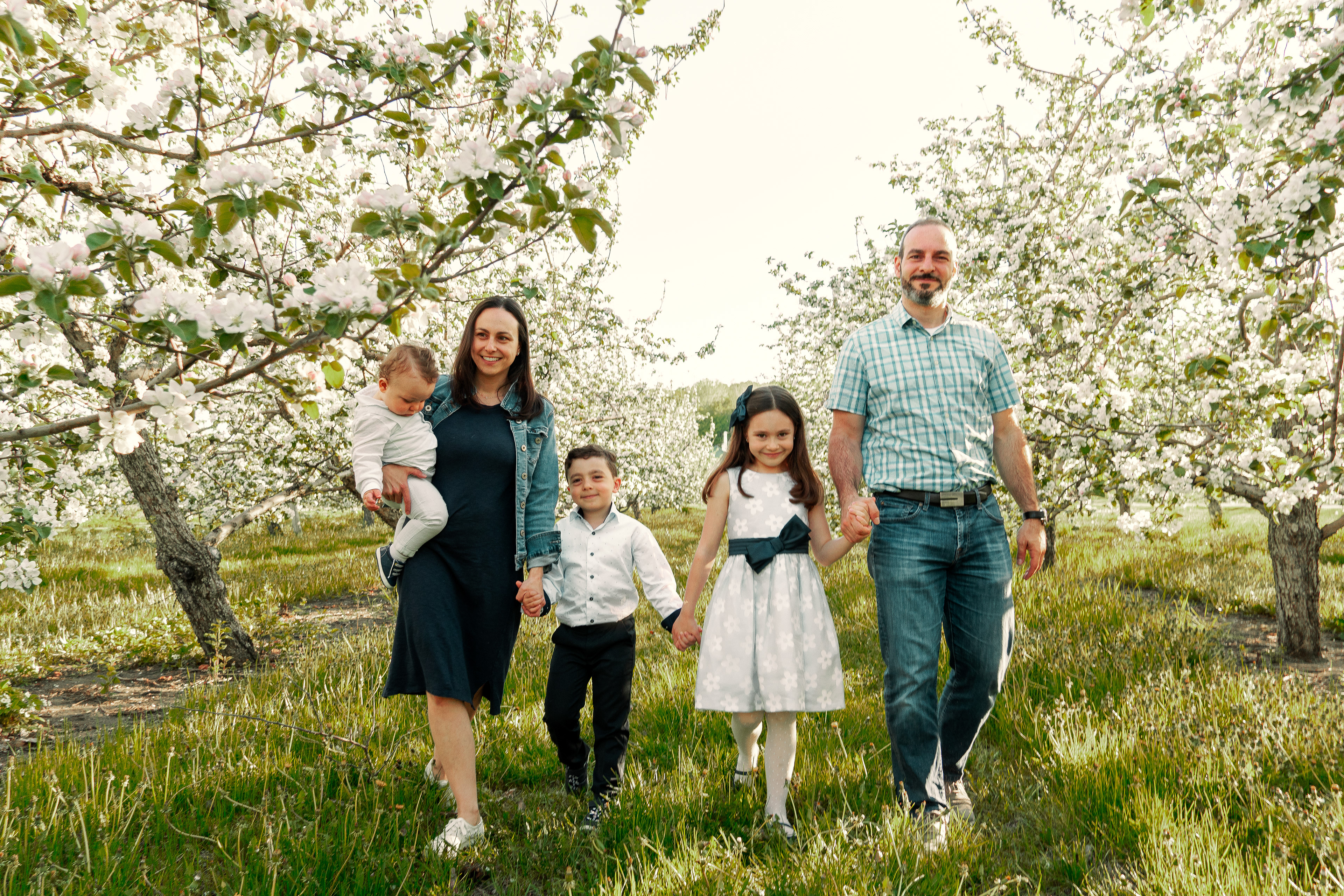 Spring family