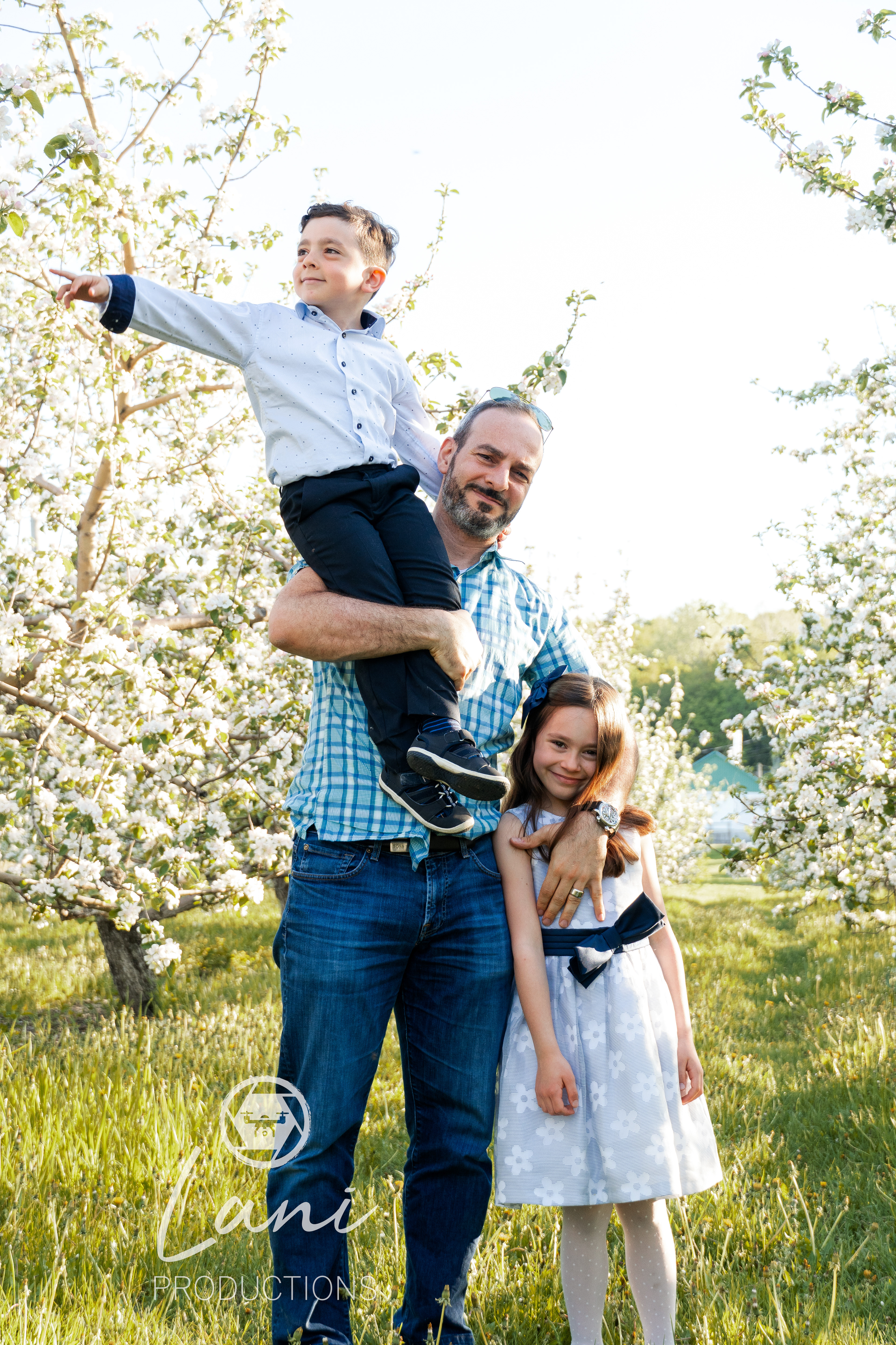 Spring family