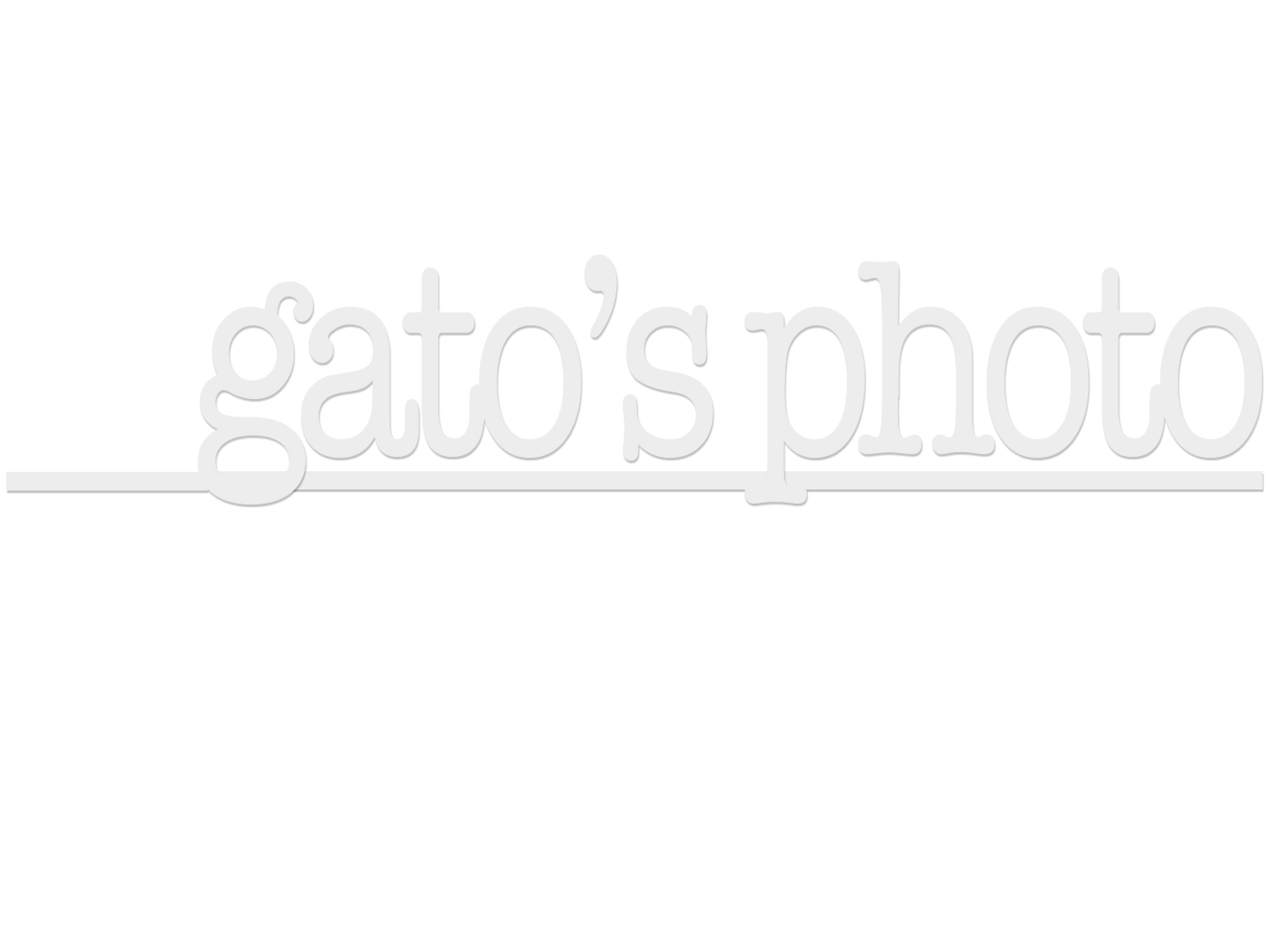 gatosan's portfolio