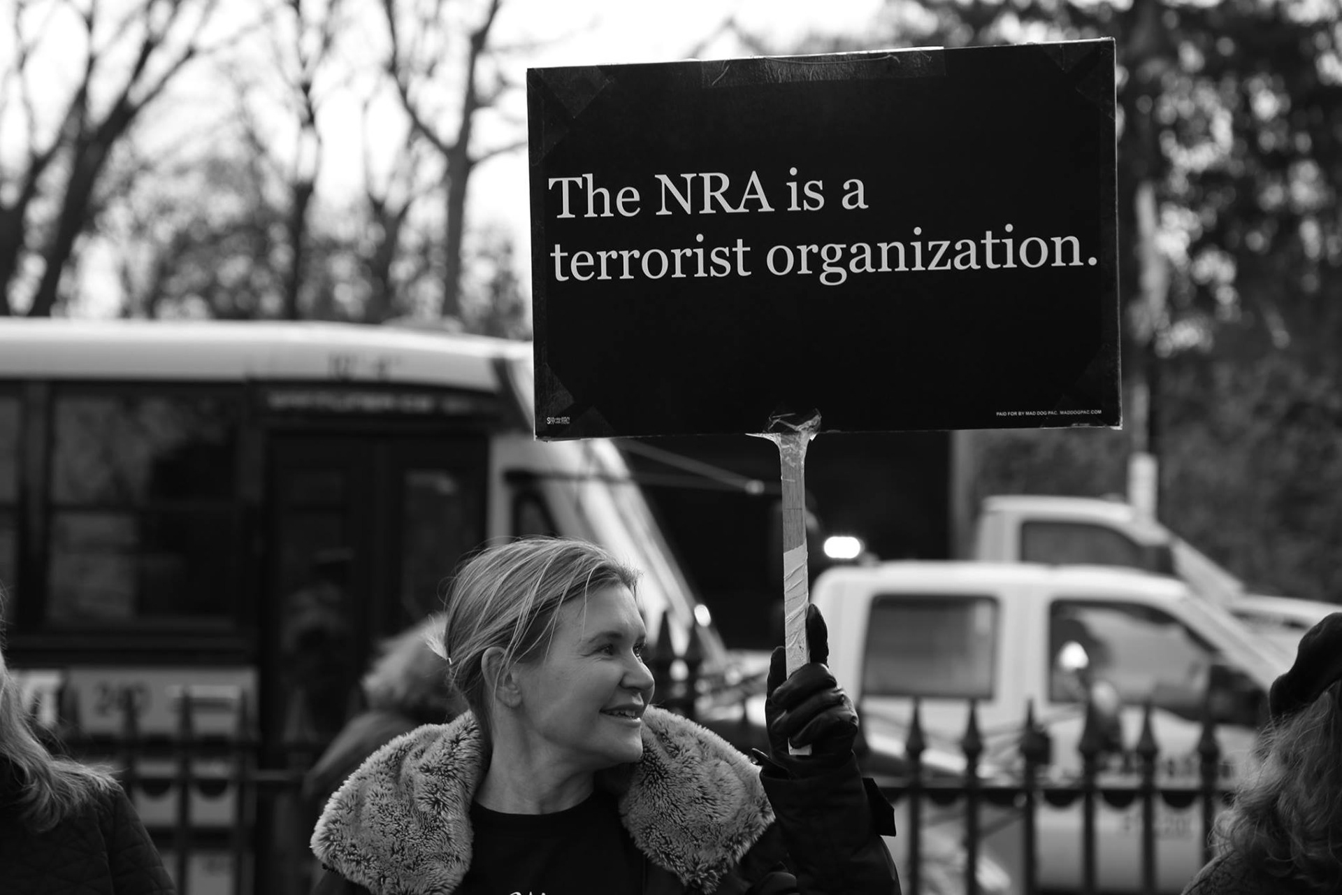 March for Our Lives rally, Boston Common, Mar. 2018
