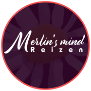 Merlin's mind