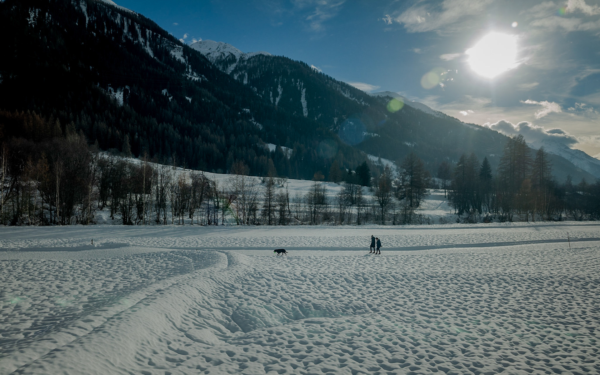 Swiss