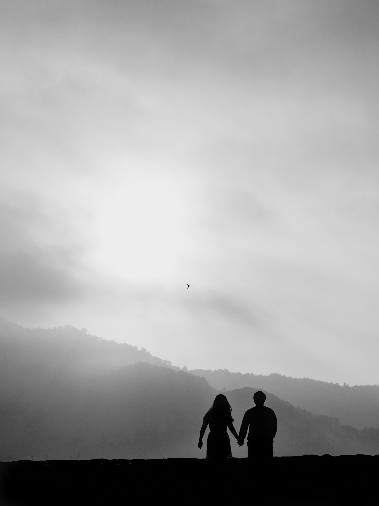 COPYRIGHTS @BYBIMOAGMI