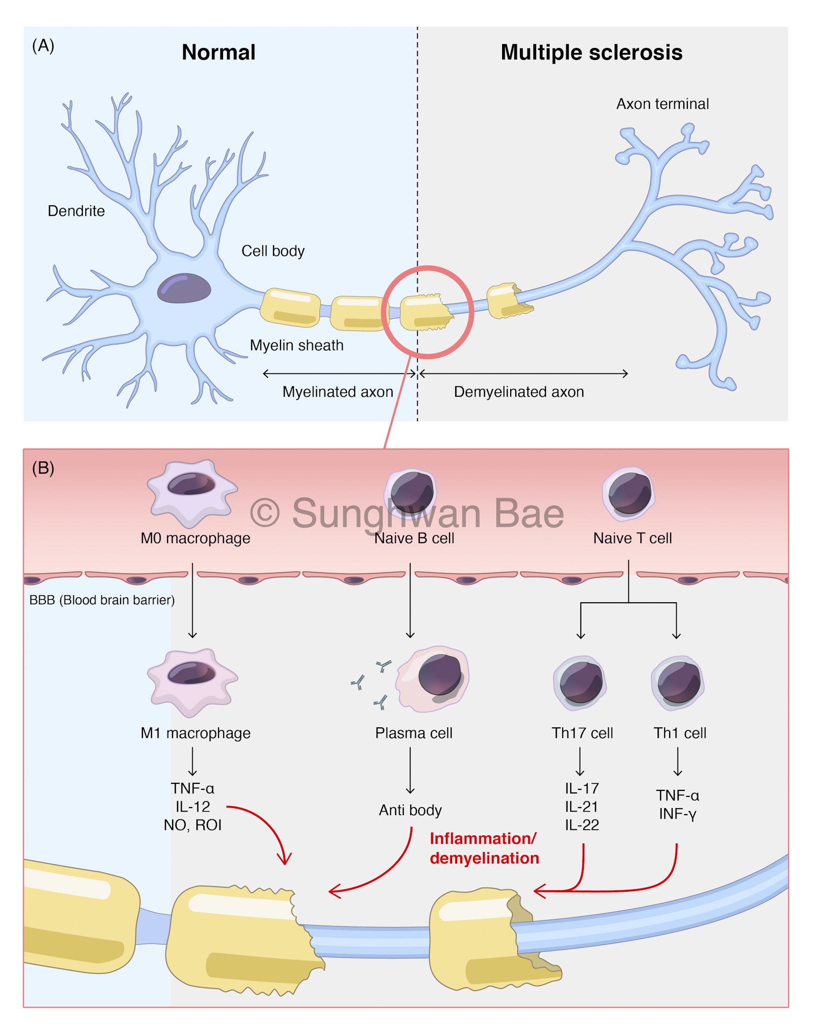 ~ai-df74b2d0-b9ea-4fa3-9910-475af50fff94_