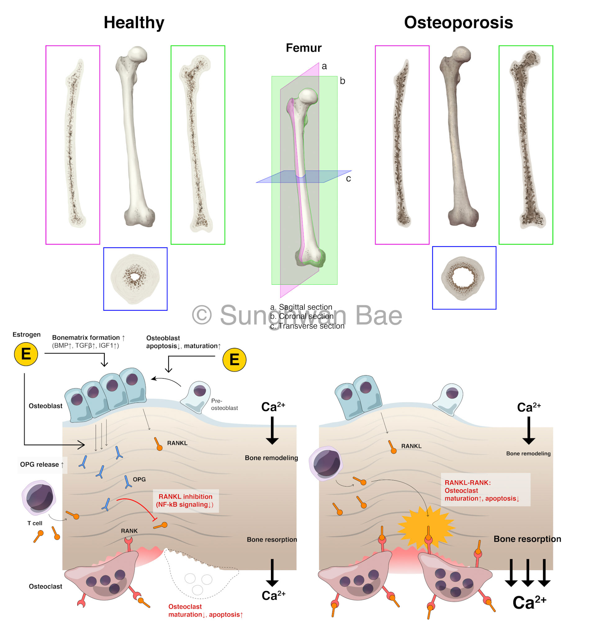 ~ai-d323a4f8-2f1d-4a1c-a6bd-da145ffad9d8_