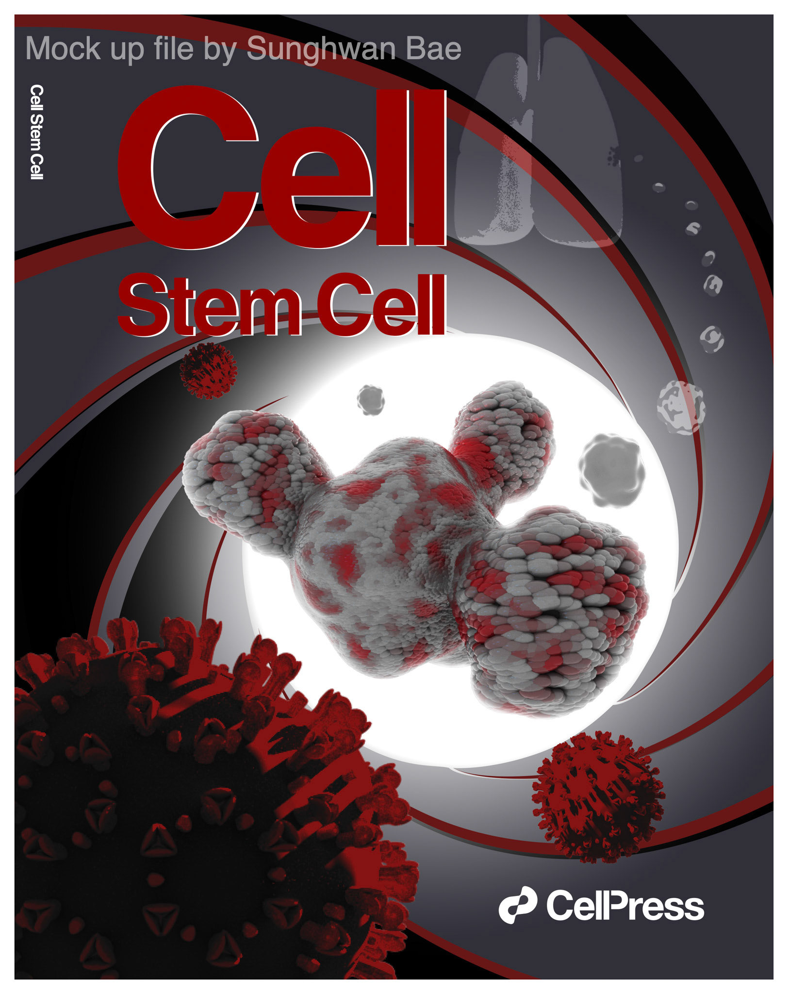 Mock up cover artwork for Dr.Joo-Hyeon Lee &amp; Dr. Young Seok Ju
