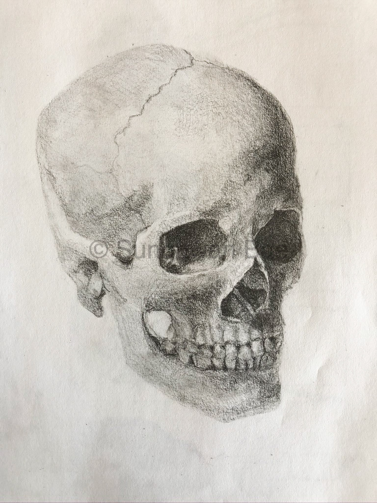 Pencil drawing