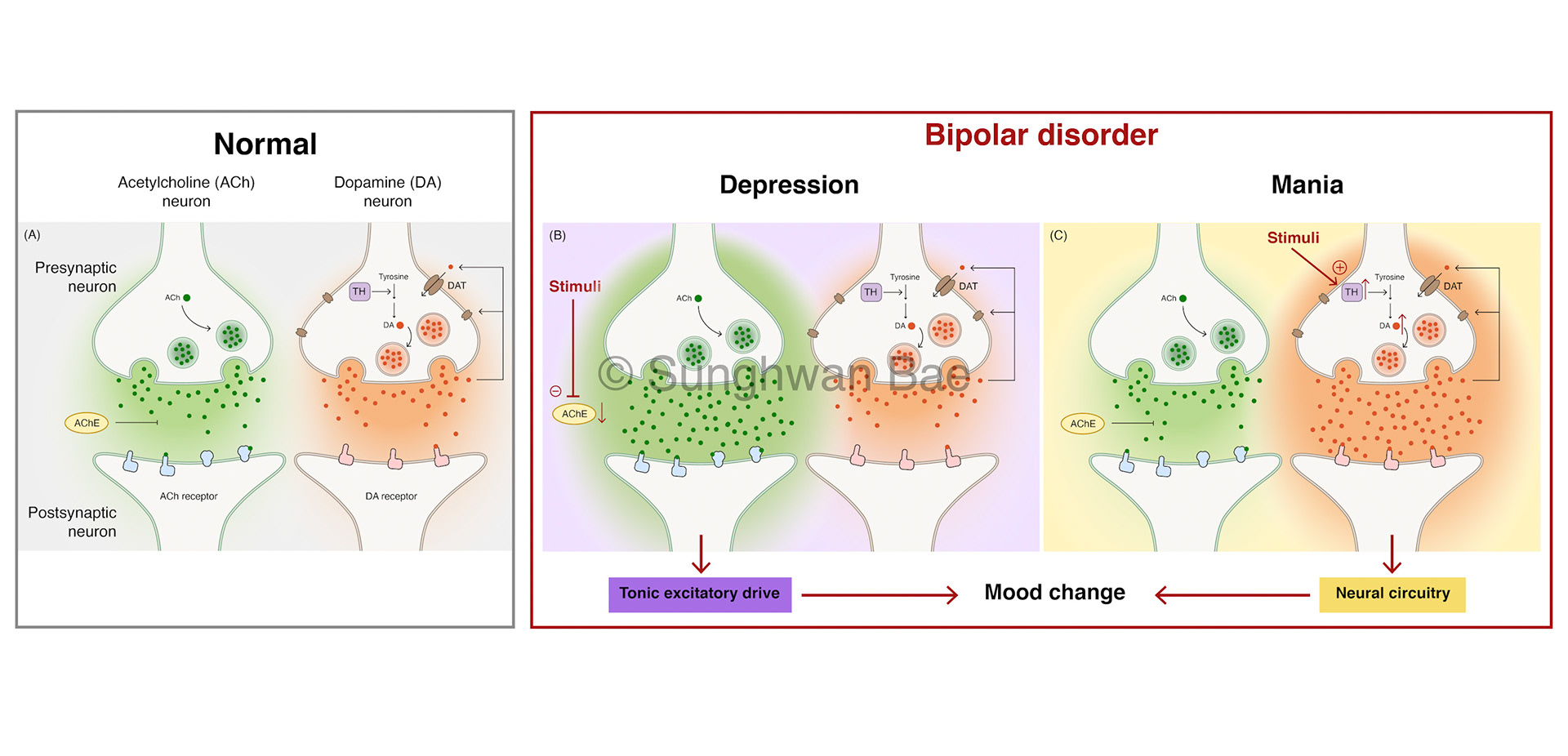 Bae_5th_bipolardisorder2
