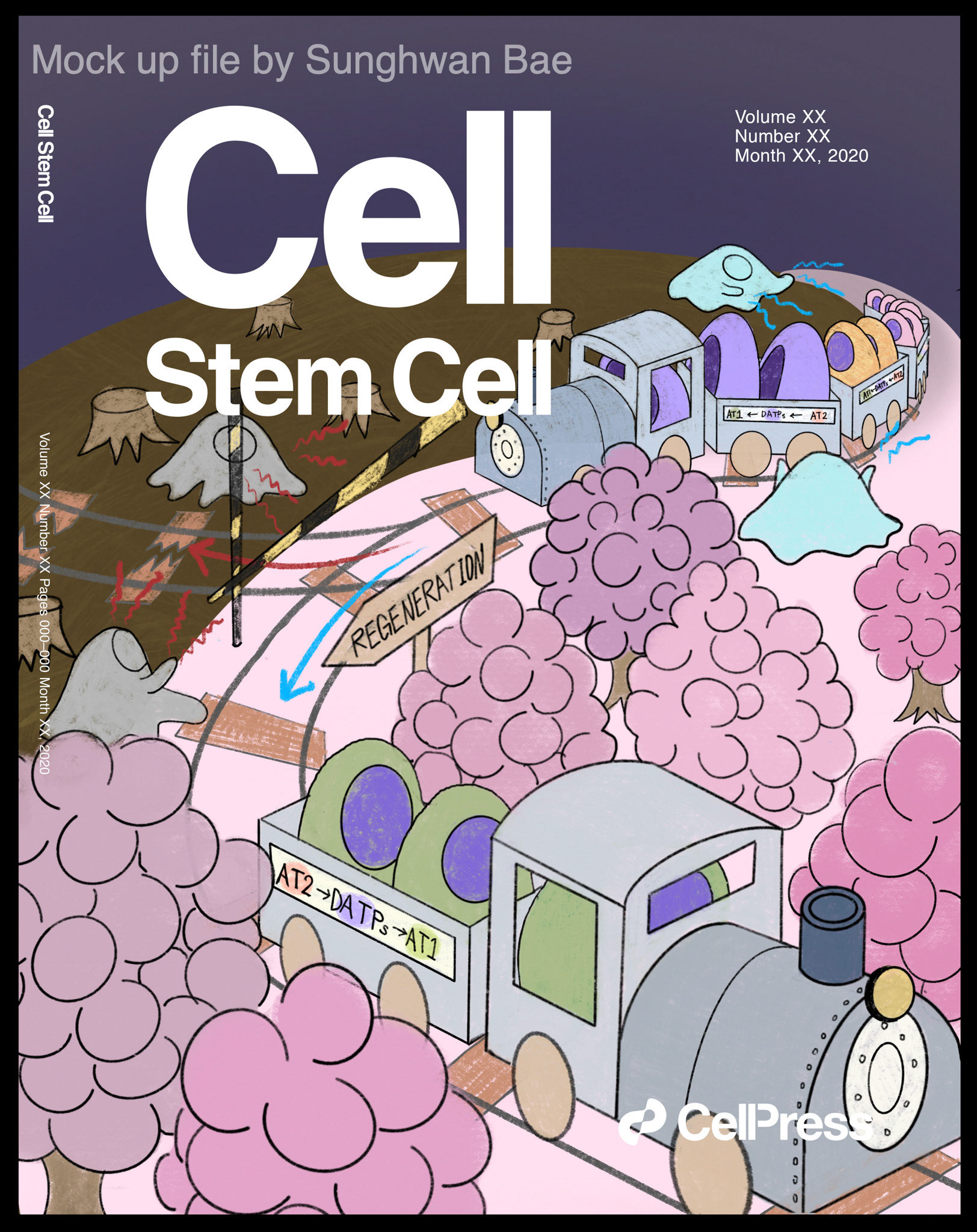 Mock up cover artwork for Dr Joo-Hyeon Lee