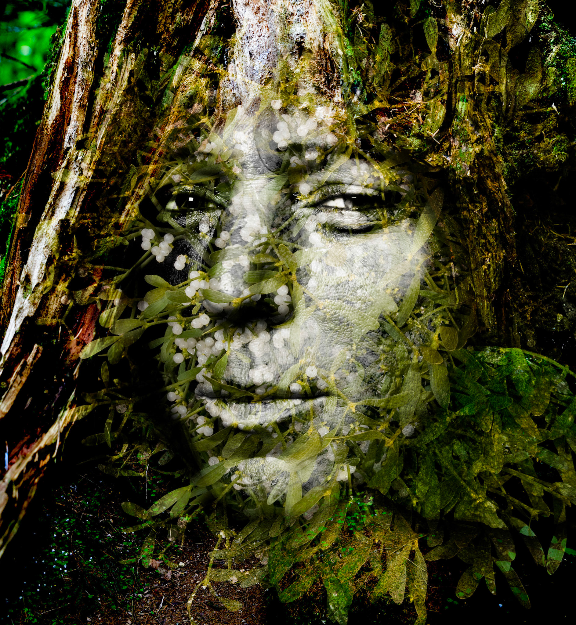 Druidenportrait