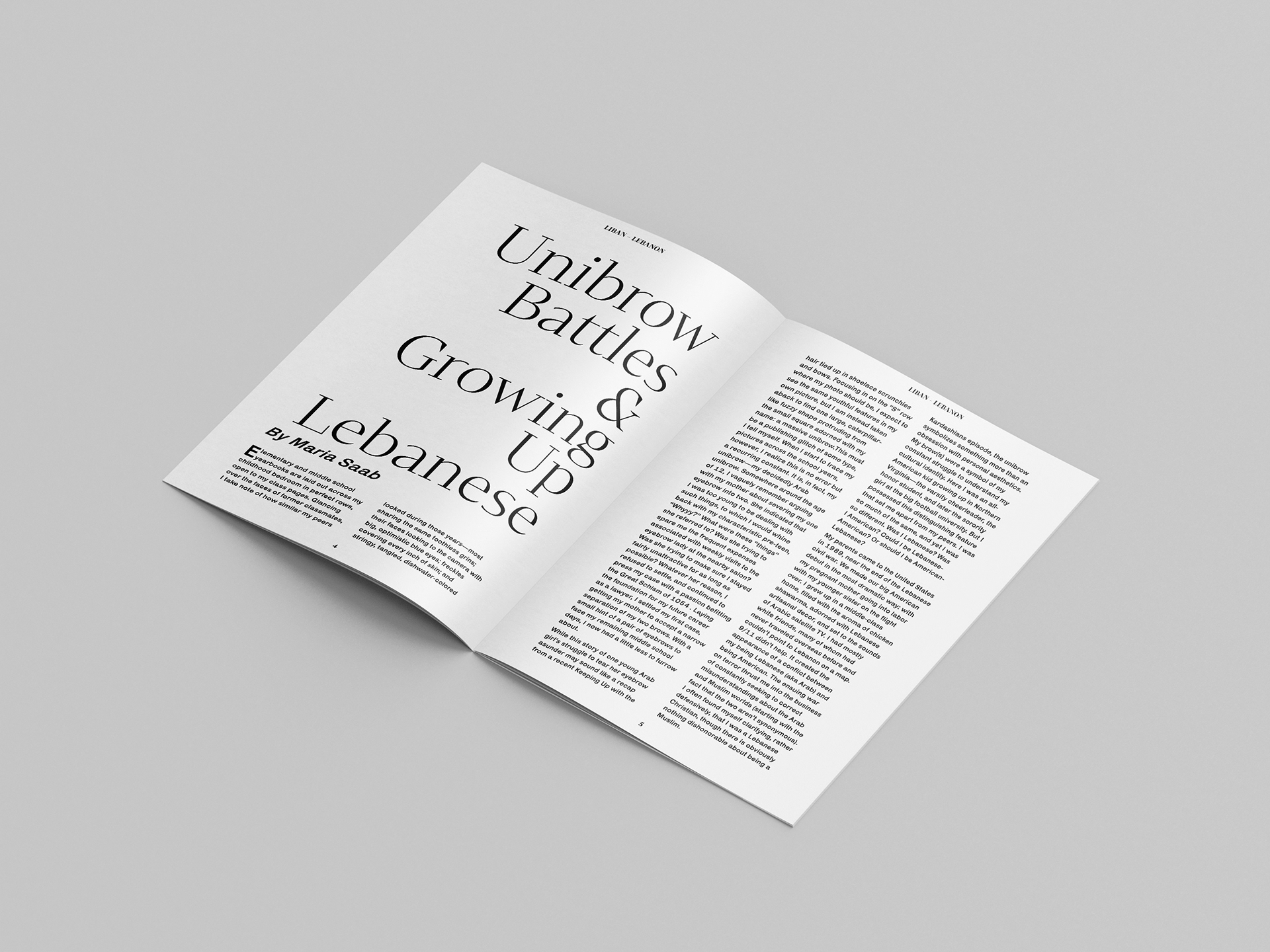 An article on the growth of first-generation Lebanese-American individuals.