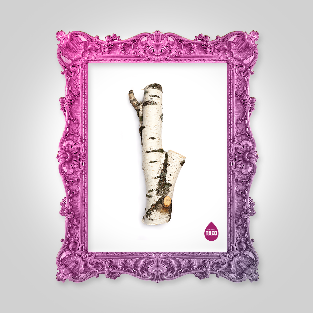 TREO - Artistic By Nature (Birch Tree)