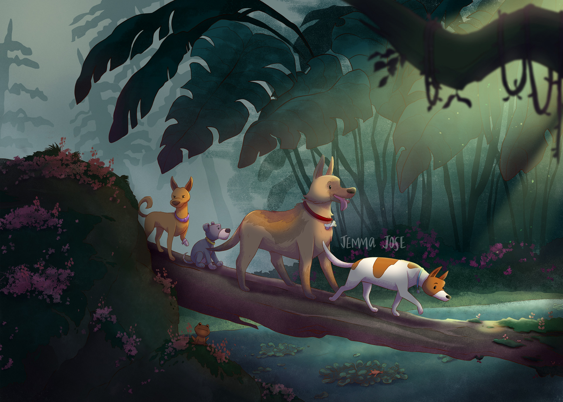 The Swamp Explorers
