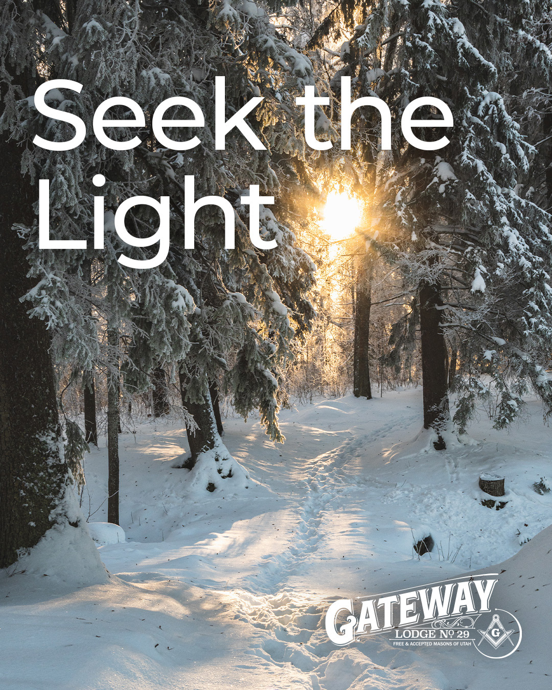 The search for light — for clarity, purpose, and direction — is something we all share.