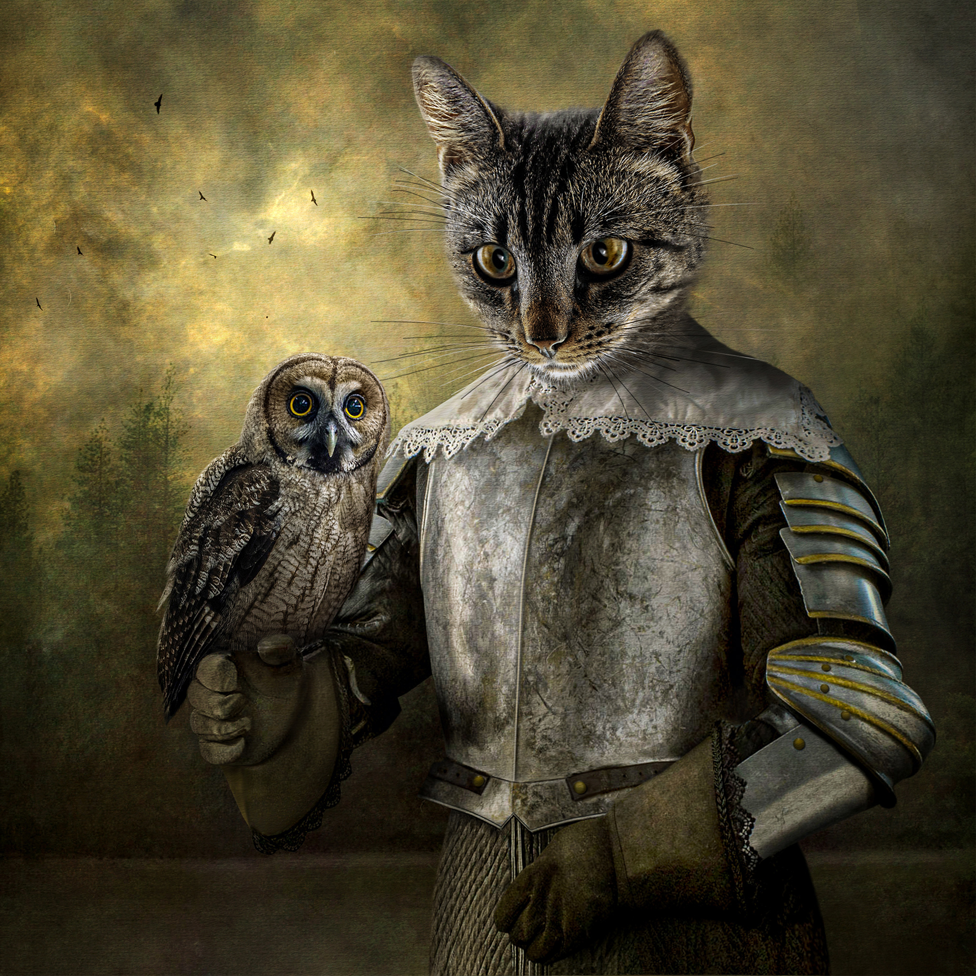 The Owl and the Pussycat
