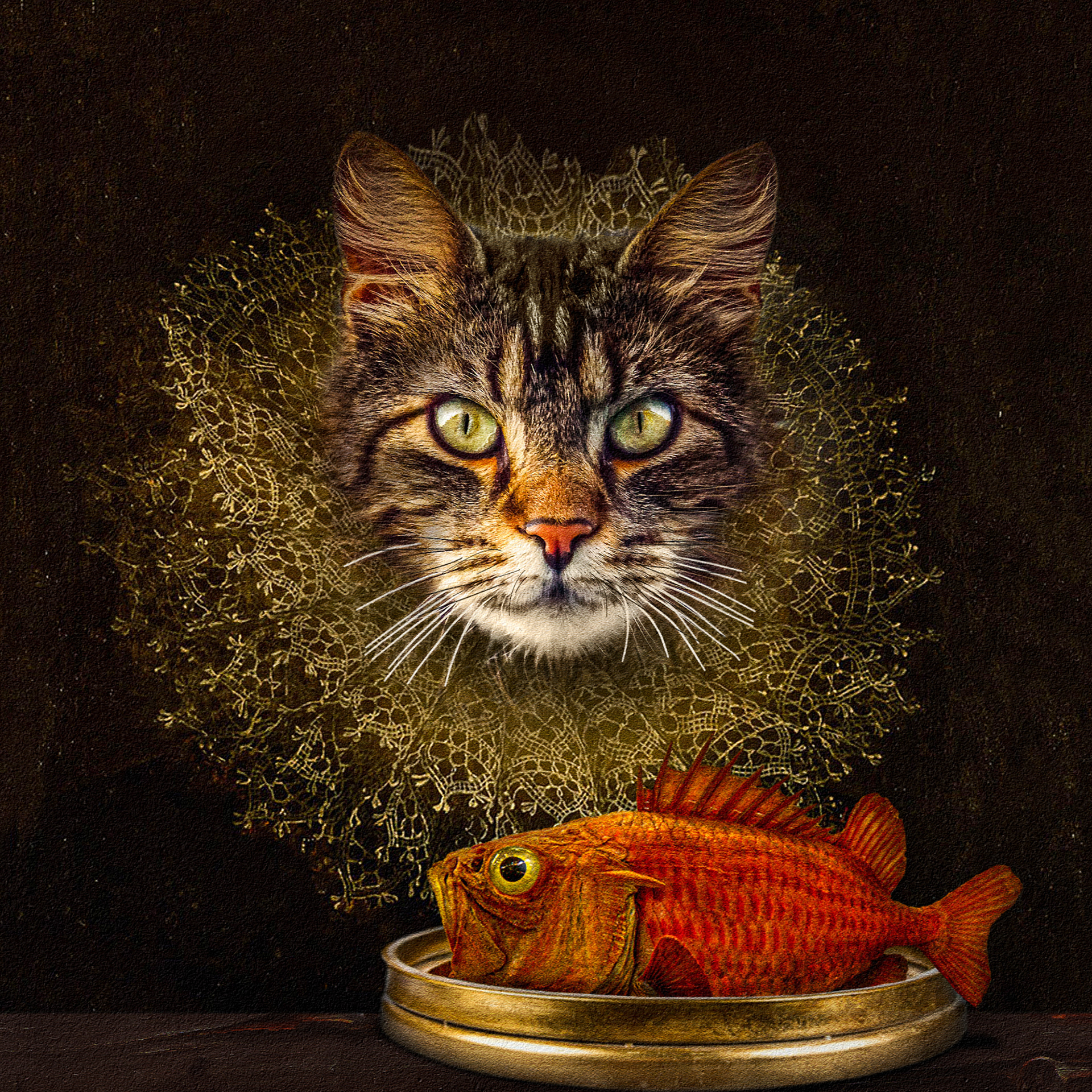 The Cat Loves Fish