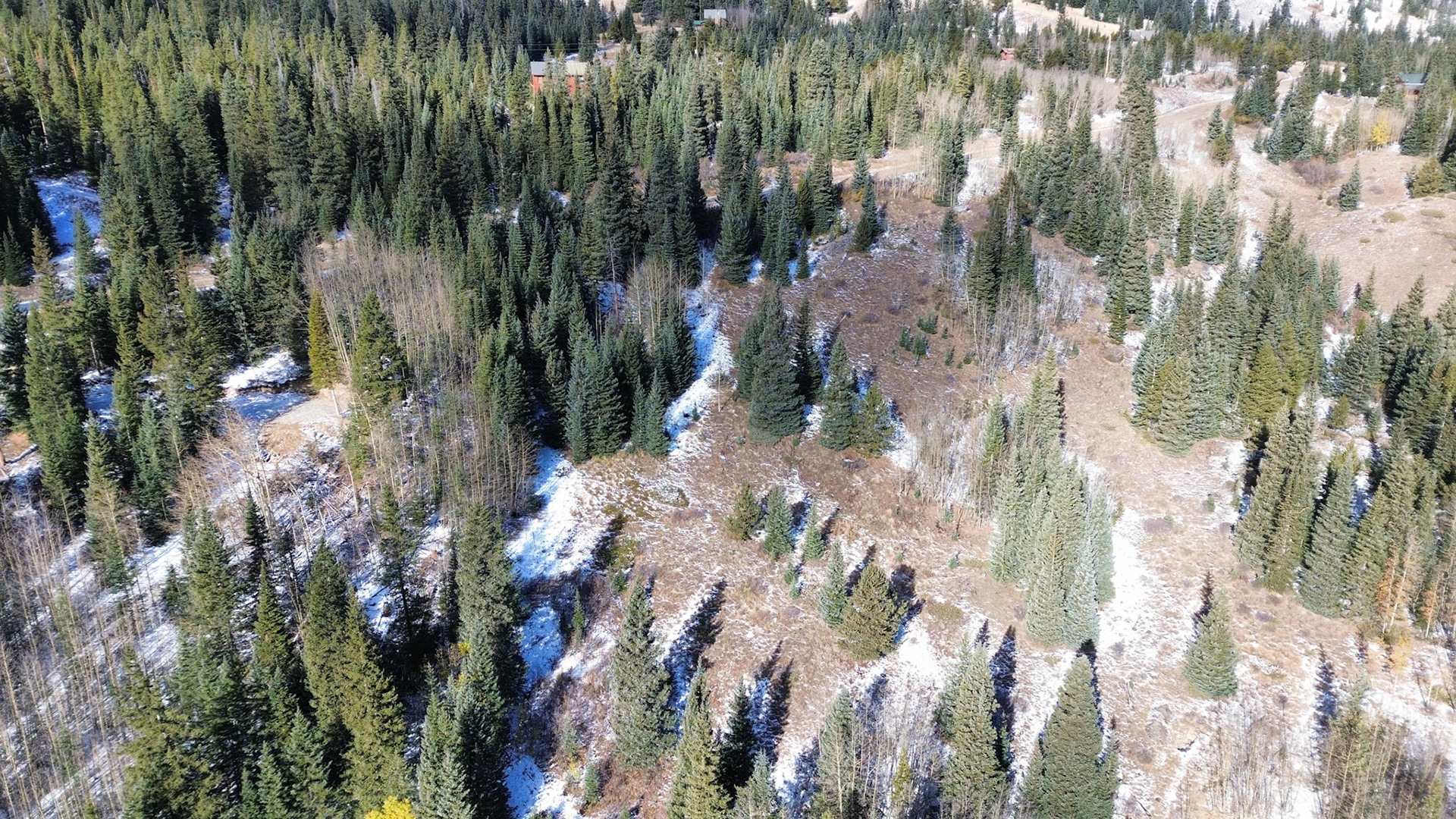 DCIM\100MEDIA\DJI_0150.JPG