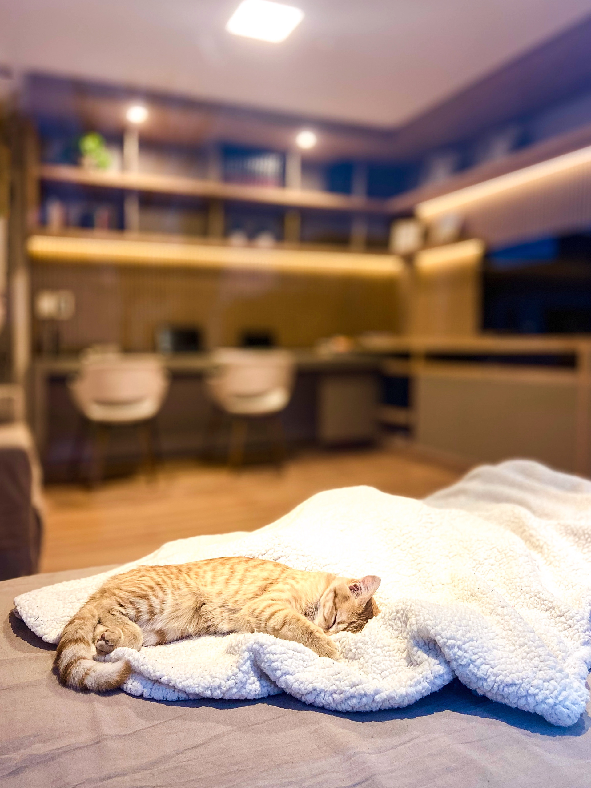 reforma despacho, mobiliario a medida