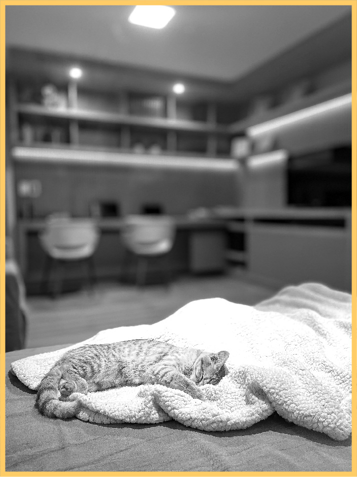 Diseño de mobiliario a medida. Reforma despacho