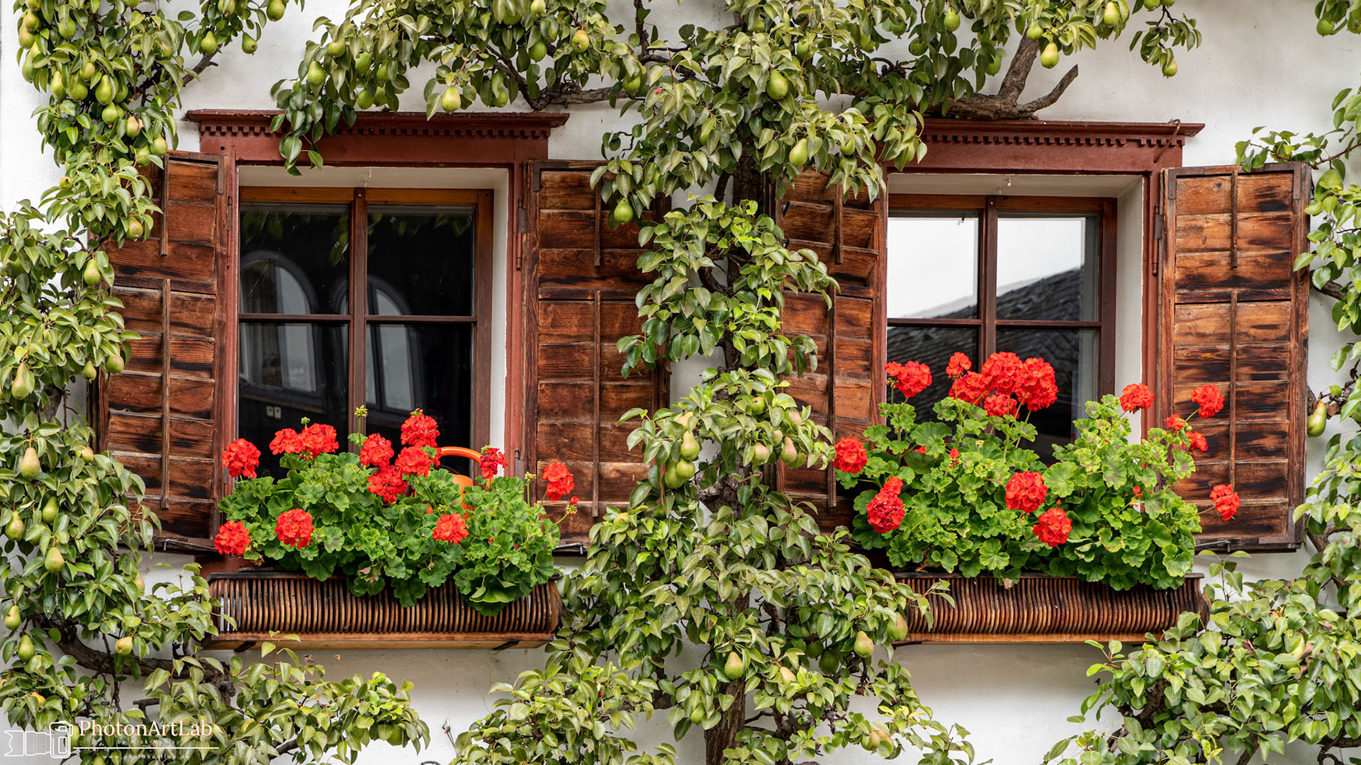 Lovely windows in Hallstatt