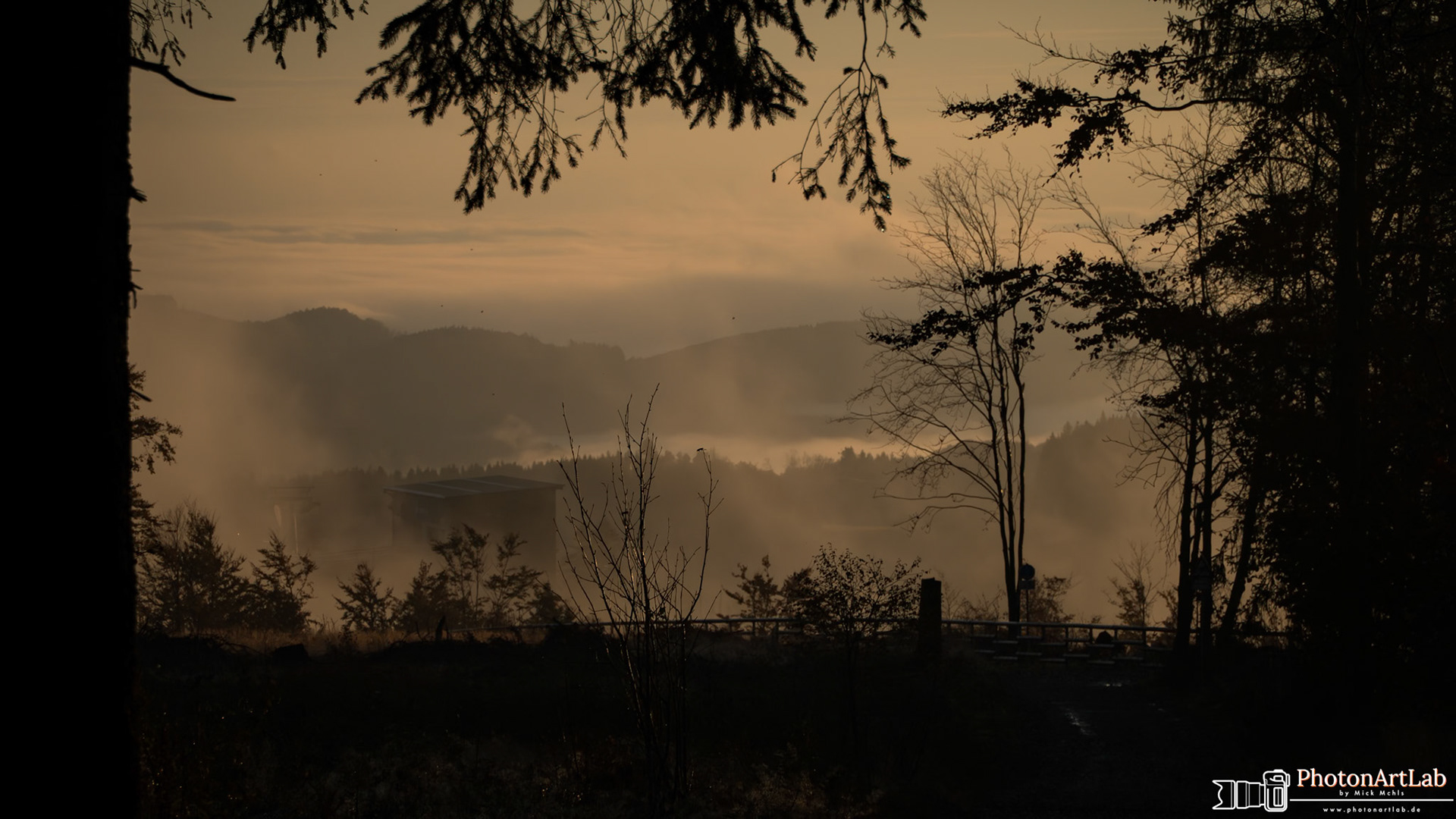 Foggy Morning in Sauerland