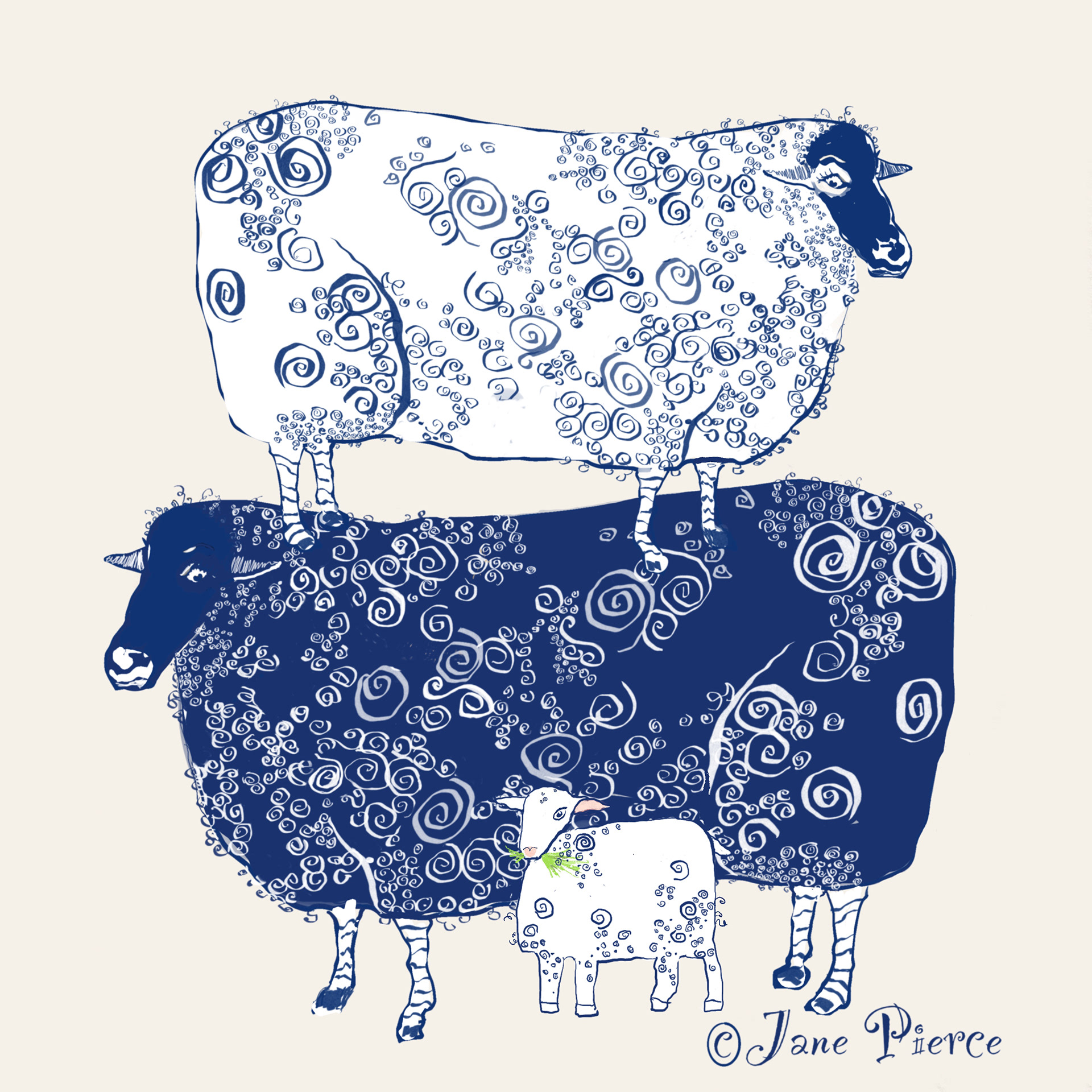 Sheep