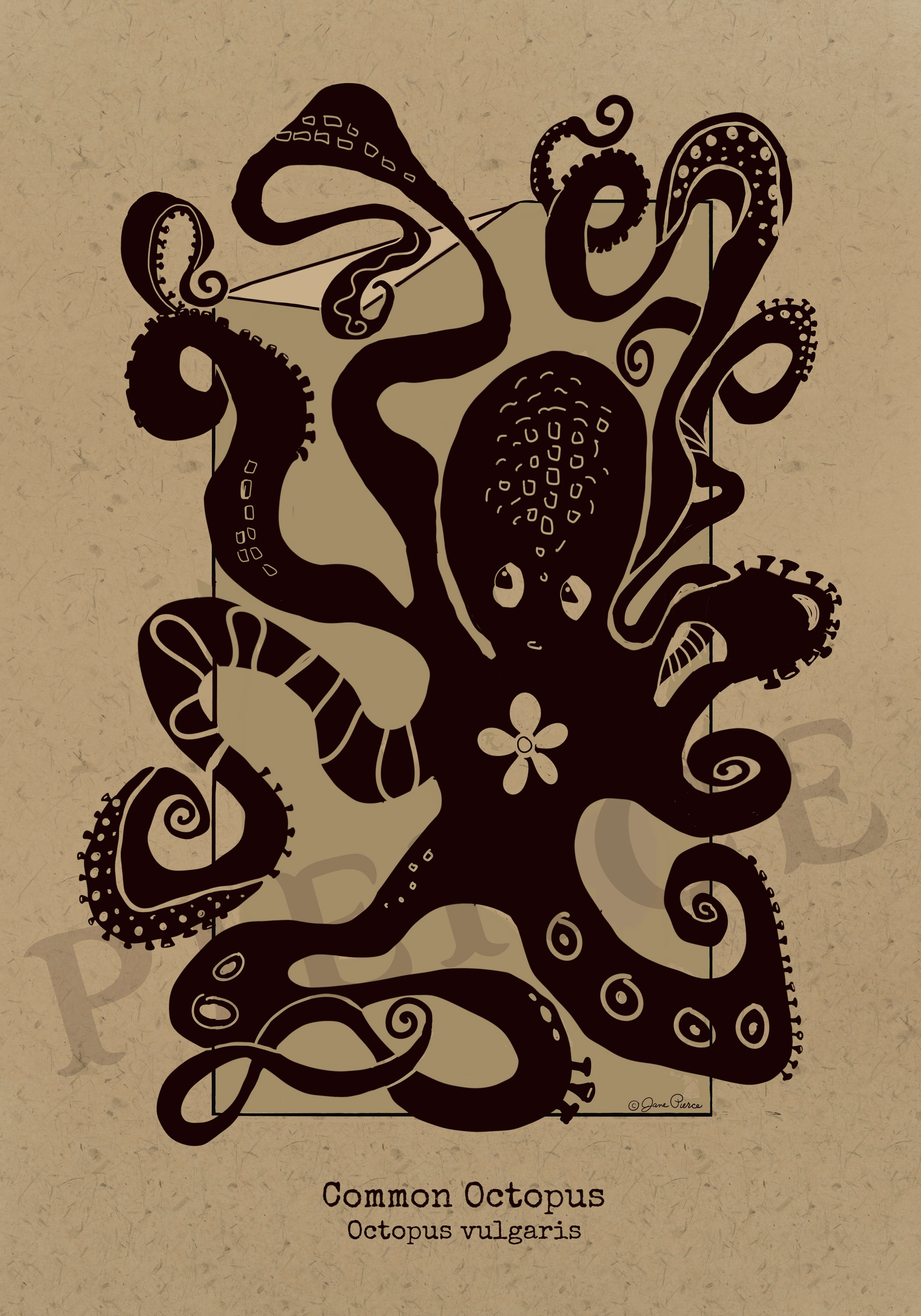 Black ink illustration of a common octopus (Octopus vulgaris) with intricate patterns and flowing tentacles, set against a kraft paper background, from the Oceanic Elegance series.