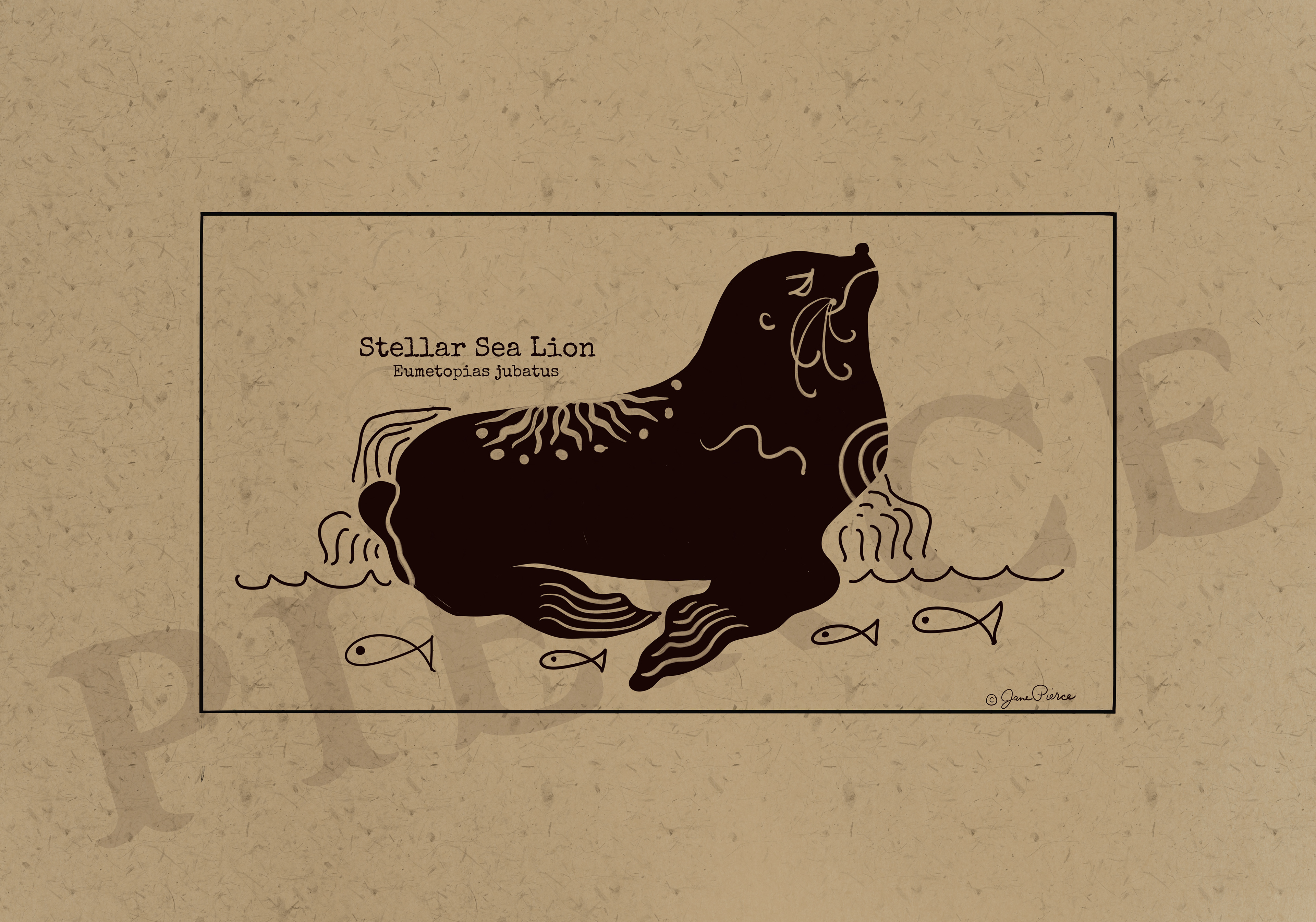 Black ink illustration of a stellar sea lion (Eumetopias jubatus) with intricate patterns, lounging on waves with fish around it, set against a kraft paper background, from the Oceanic Elegance series.