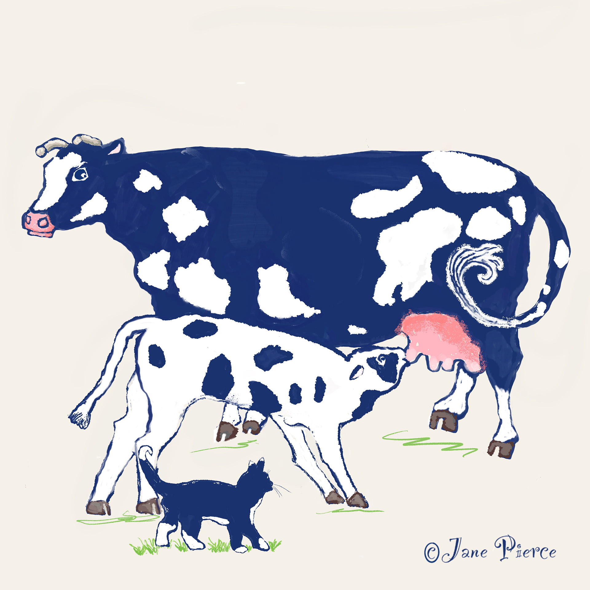 Cow, Calf, and Cat