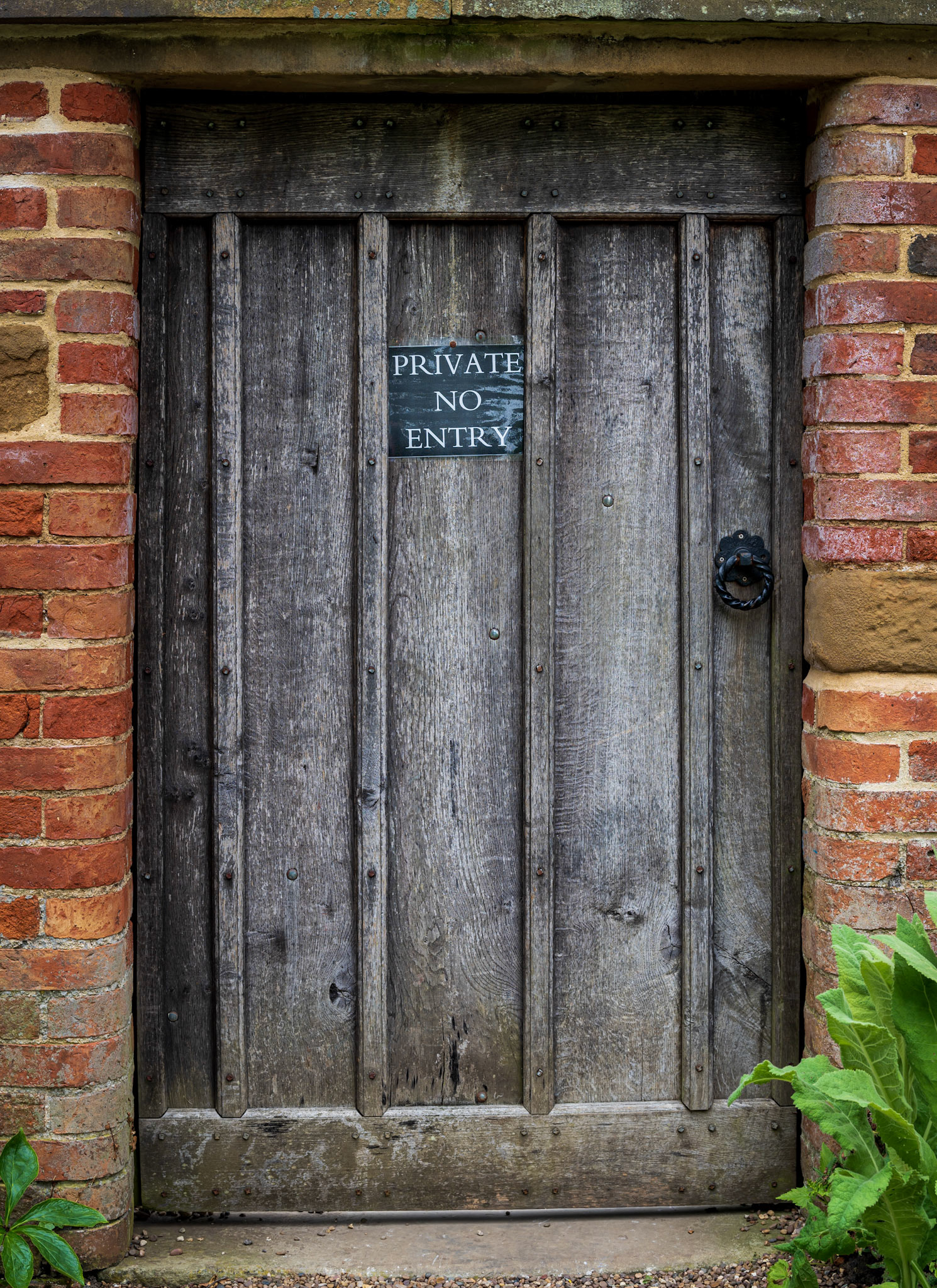 Door