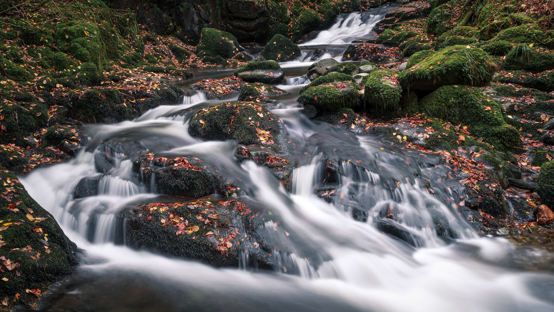 Stock Ghyll Falls - Lake District