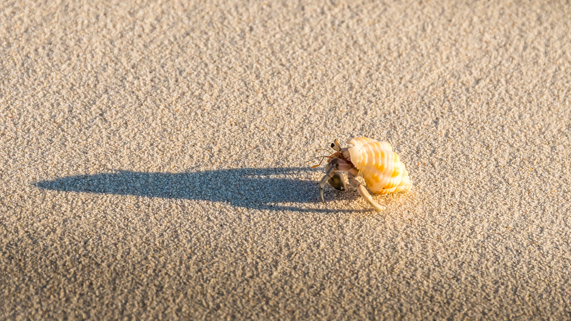 On the move