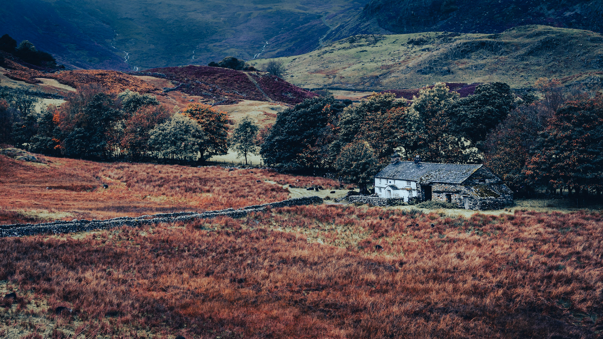 Lingmore Fell - Lake District