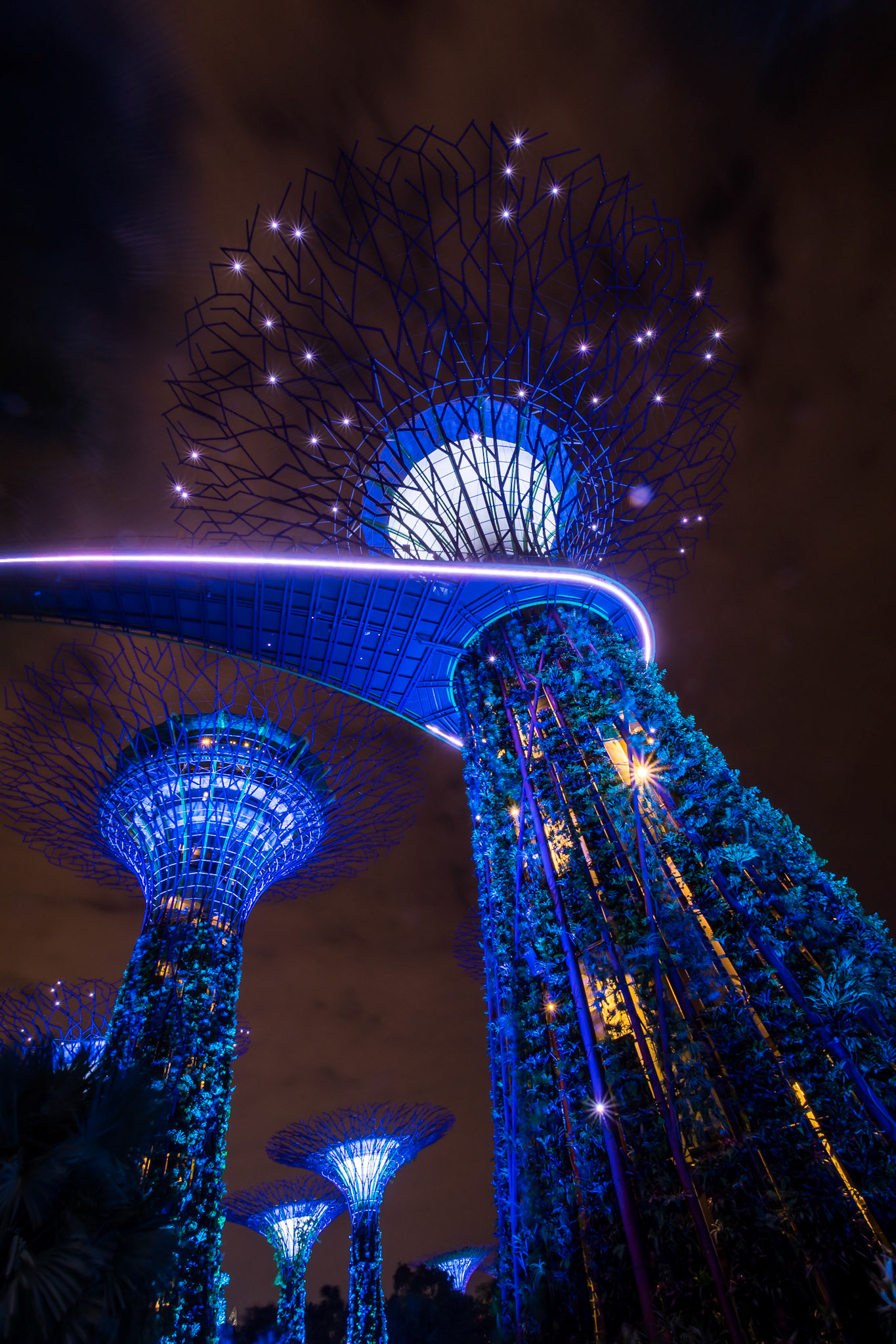 Gardens by the Bay III
