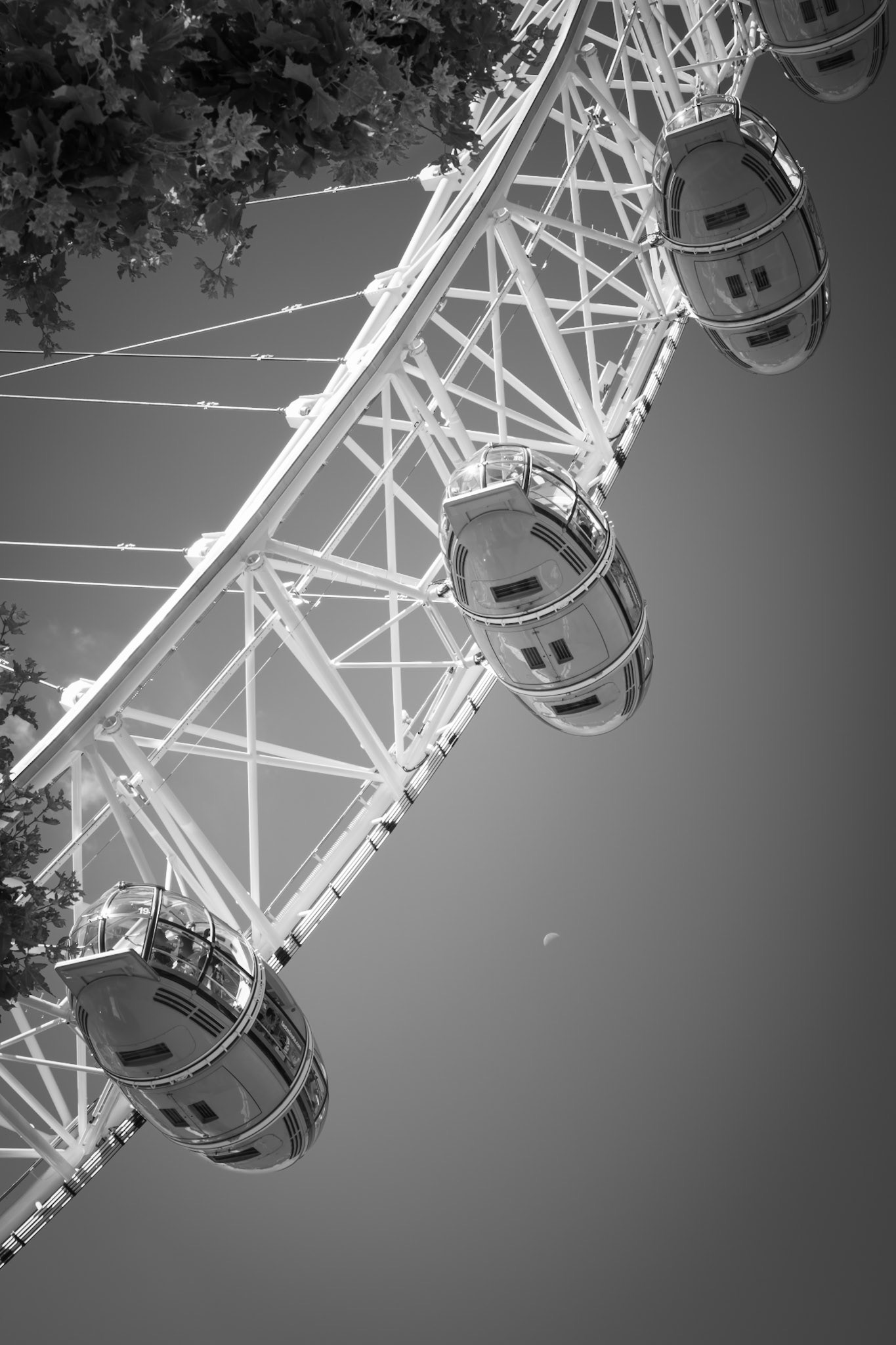 Pods and Moon