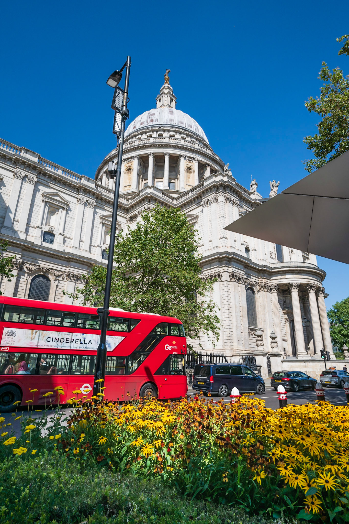 St Paul's Cathedral and Bloom
