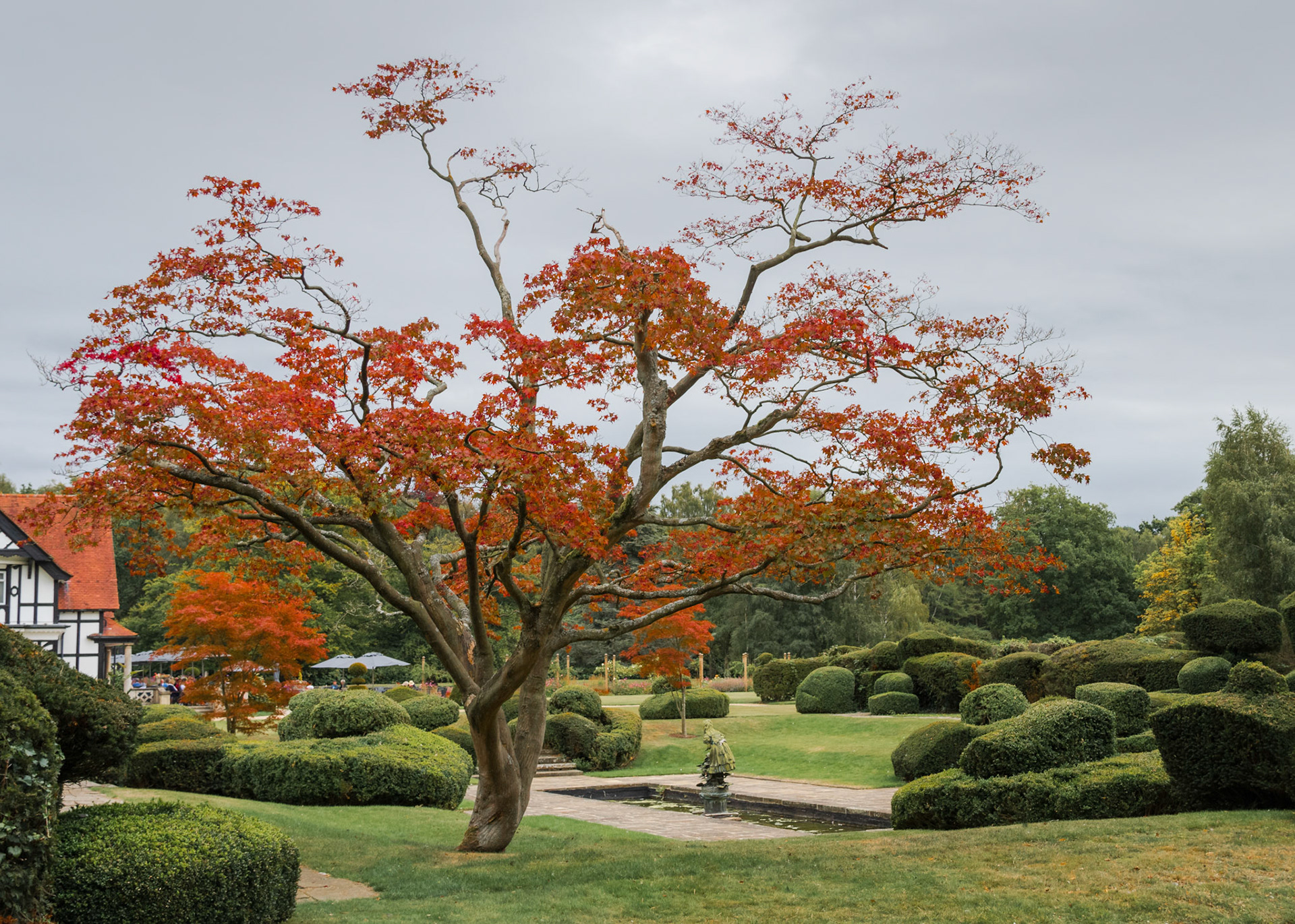 Petwood Hotel - Lincolnshire