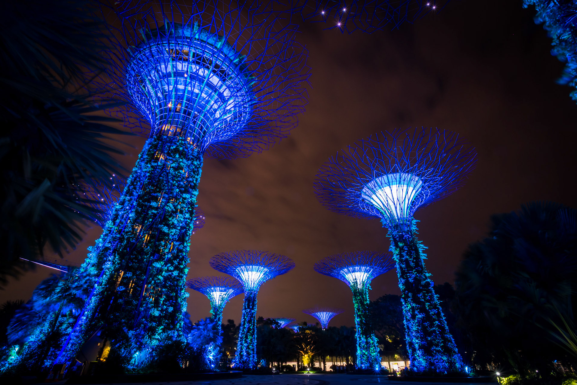 Gardens by the Bay II