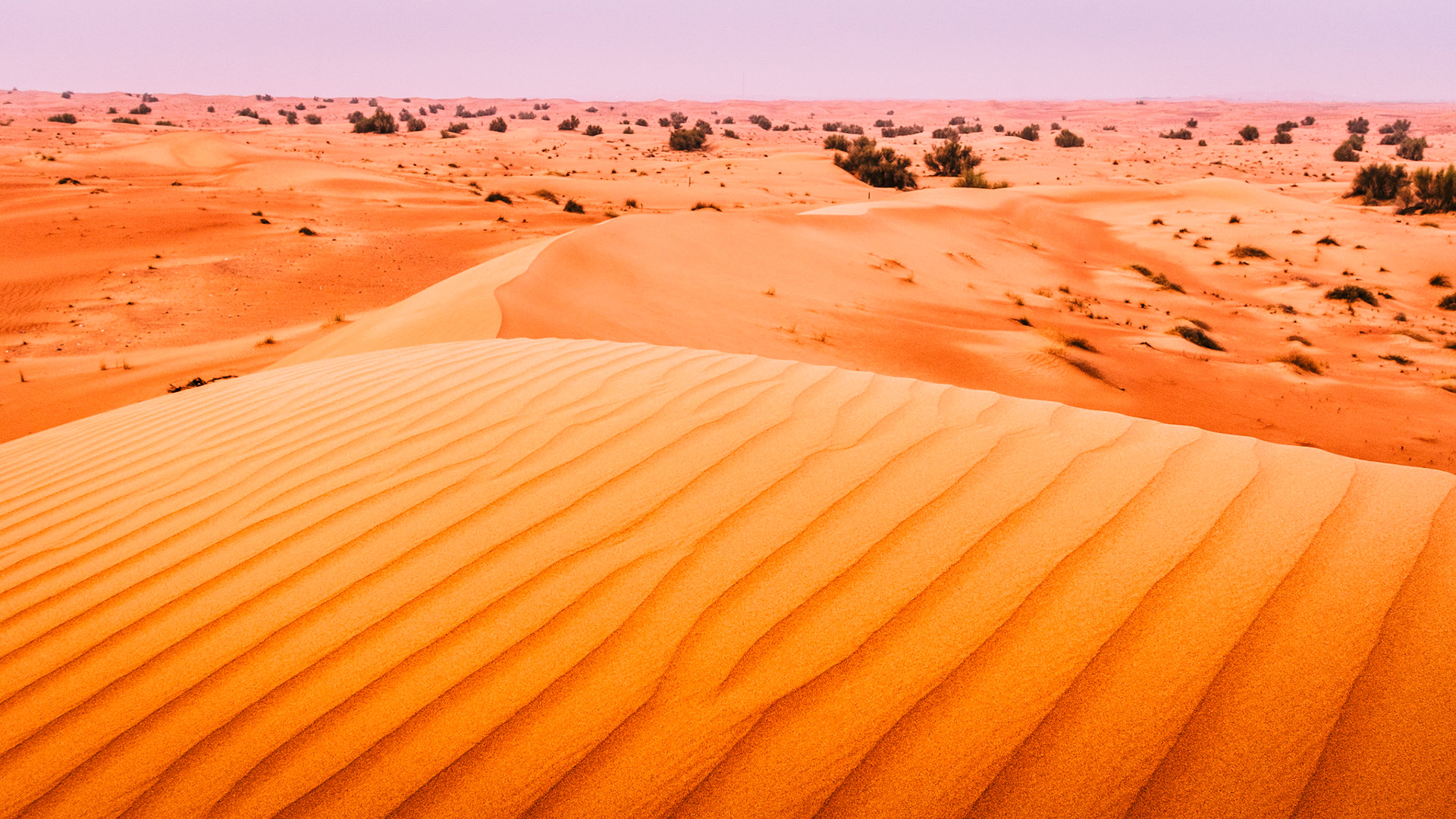 Desert Sunset - Dubai