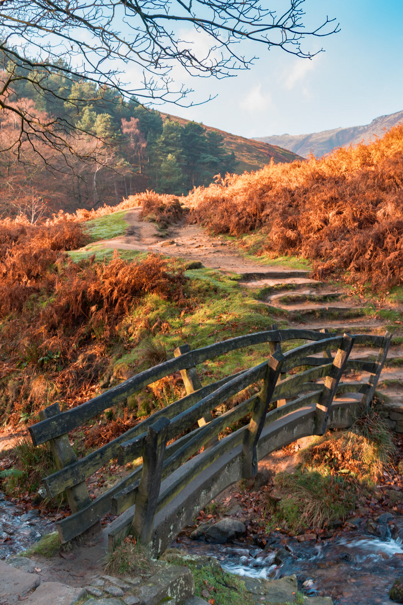 Autumn Bridge