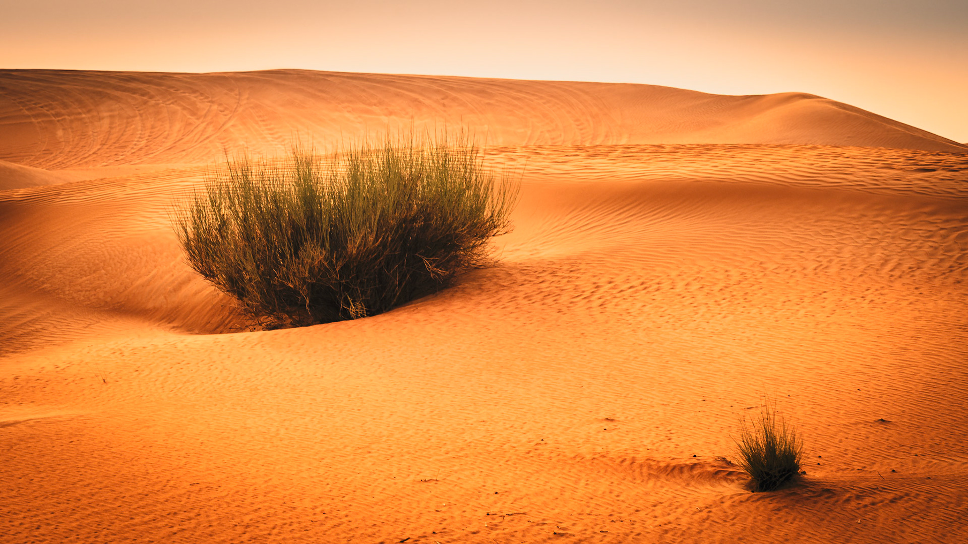 Desert Sunset - Dubai